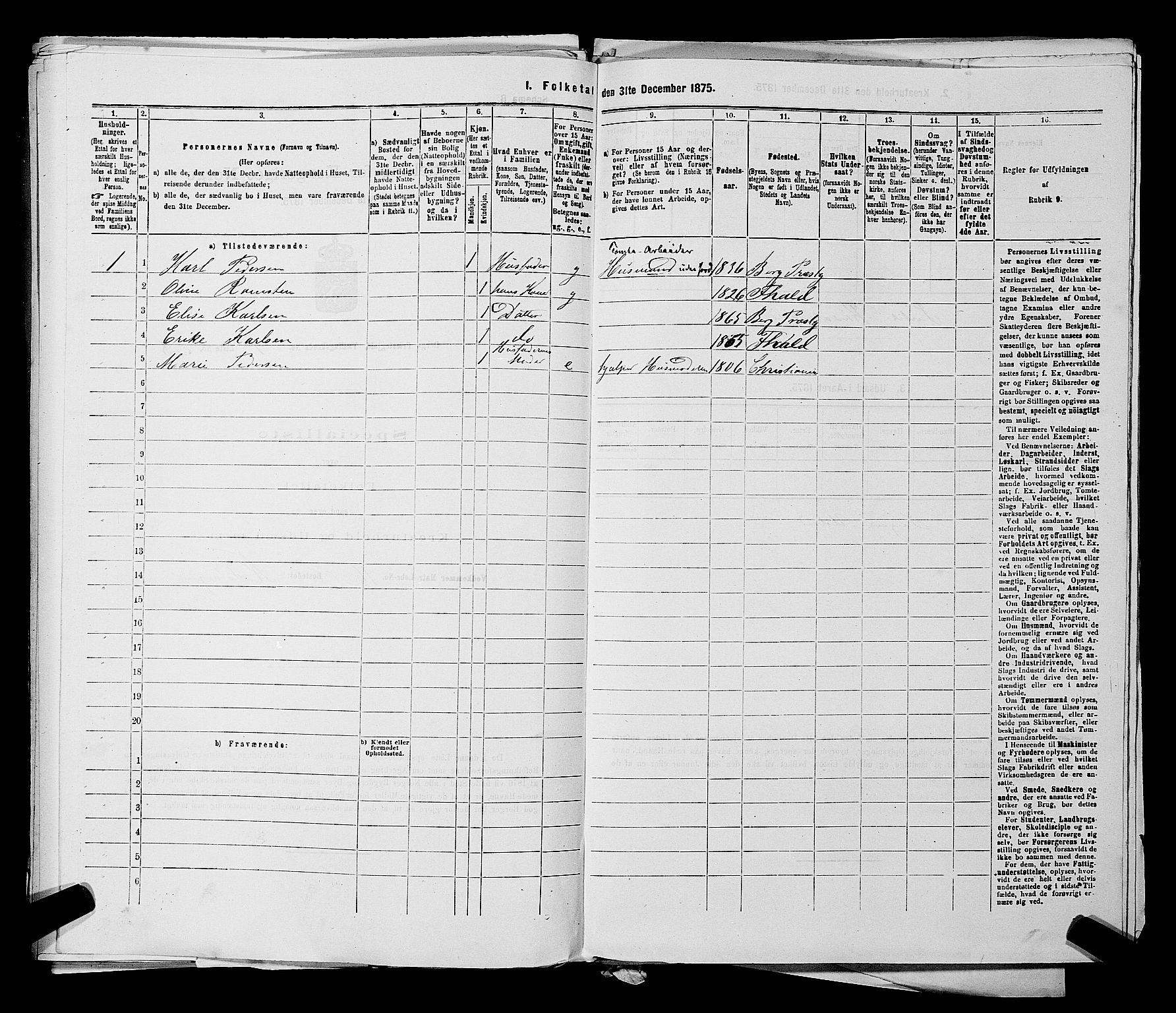 RA, 1875 census for 0116P Berg, 1875, p. 619