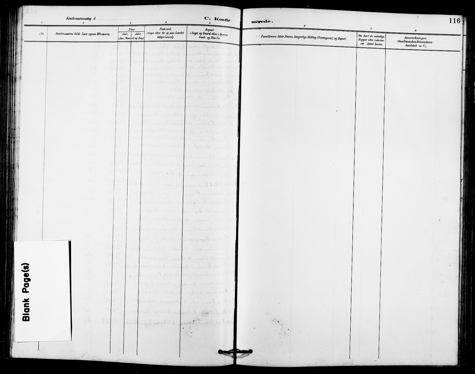 Fet prestekontor Kirkebøker, AV/SAO-A-10370a/G/Ga/L0007: Parish register (copy) no. I 7, 1892-1906, p. 116