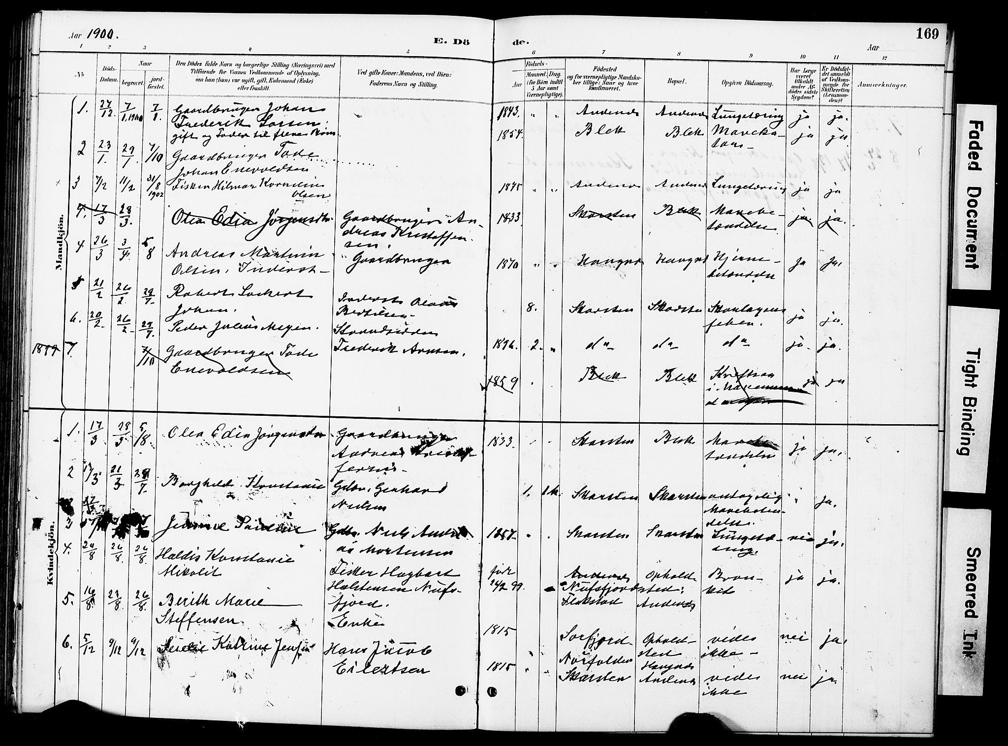 Ministerialprotokoller, klokkerbøker og fødselsregistre - Nordland, AV/SAT-A-1459/899/L1448: Parish register (copy) no. 899C03, 1887-1902, p. 169