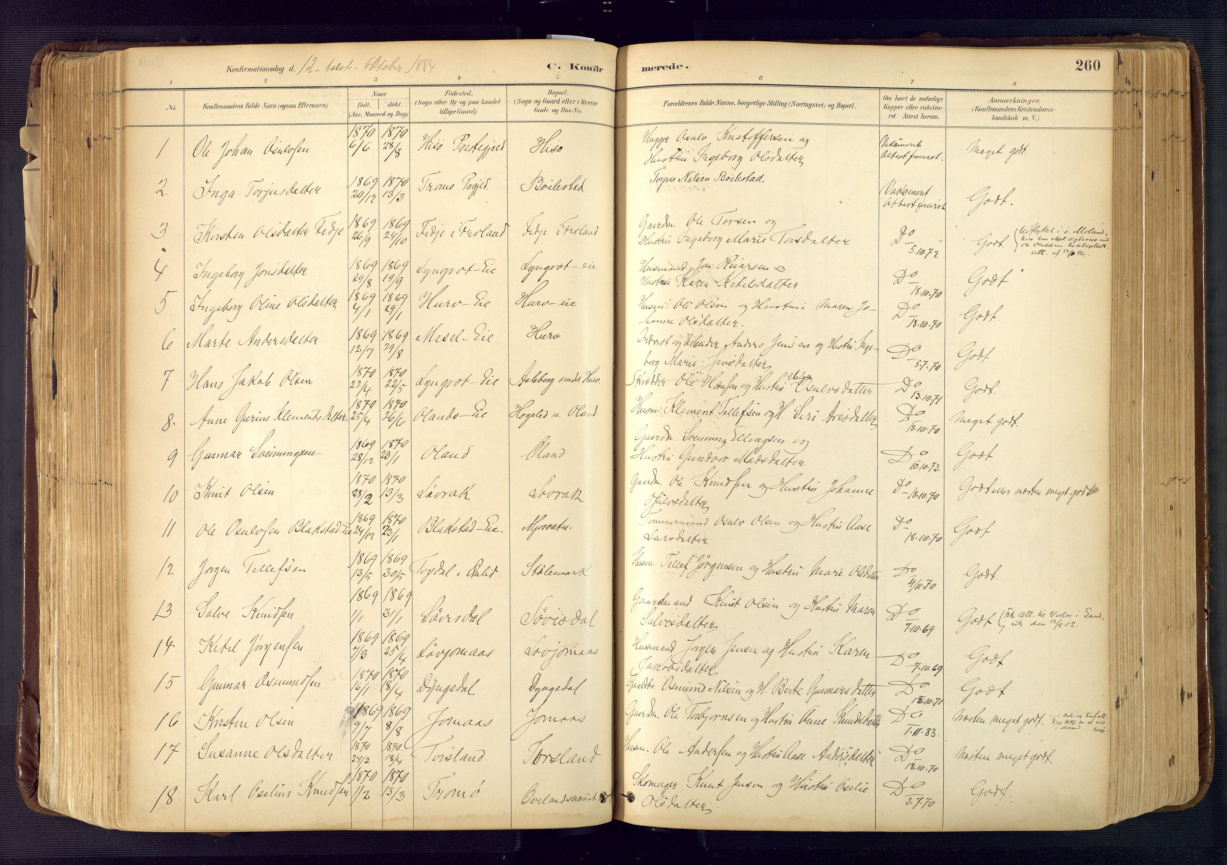 Froland sokneprestkontor, SAK/1111-0013/F/Fa/L0005: Parish register (official) no. A 5, 1882-1921, p. 260