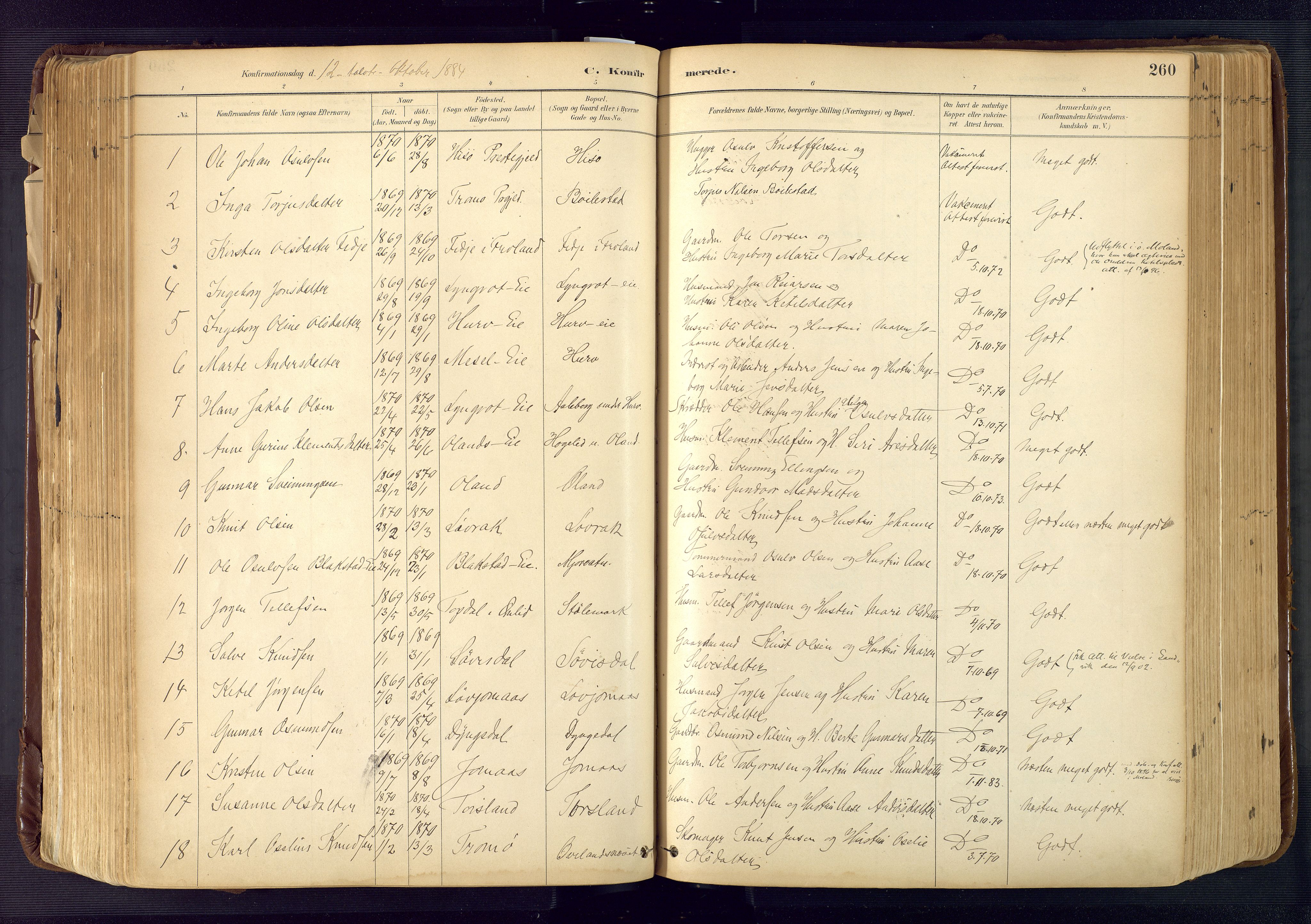 Froland sokneprestkontor, AV/SAK-1111-0013/F/Fa/L0005: Parish register (official) no. A 5, 1882-1921, p. 260