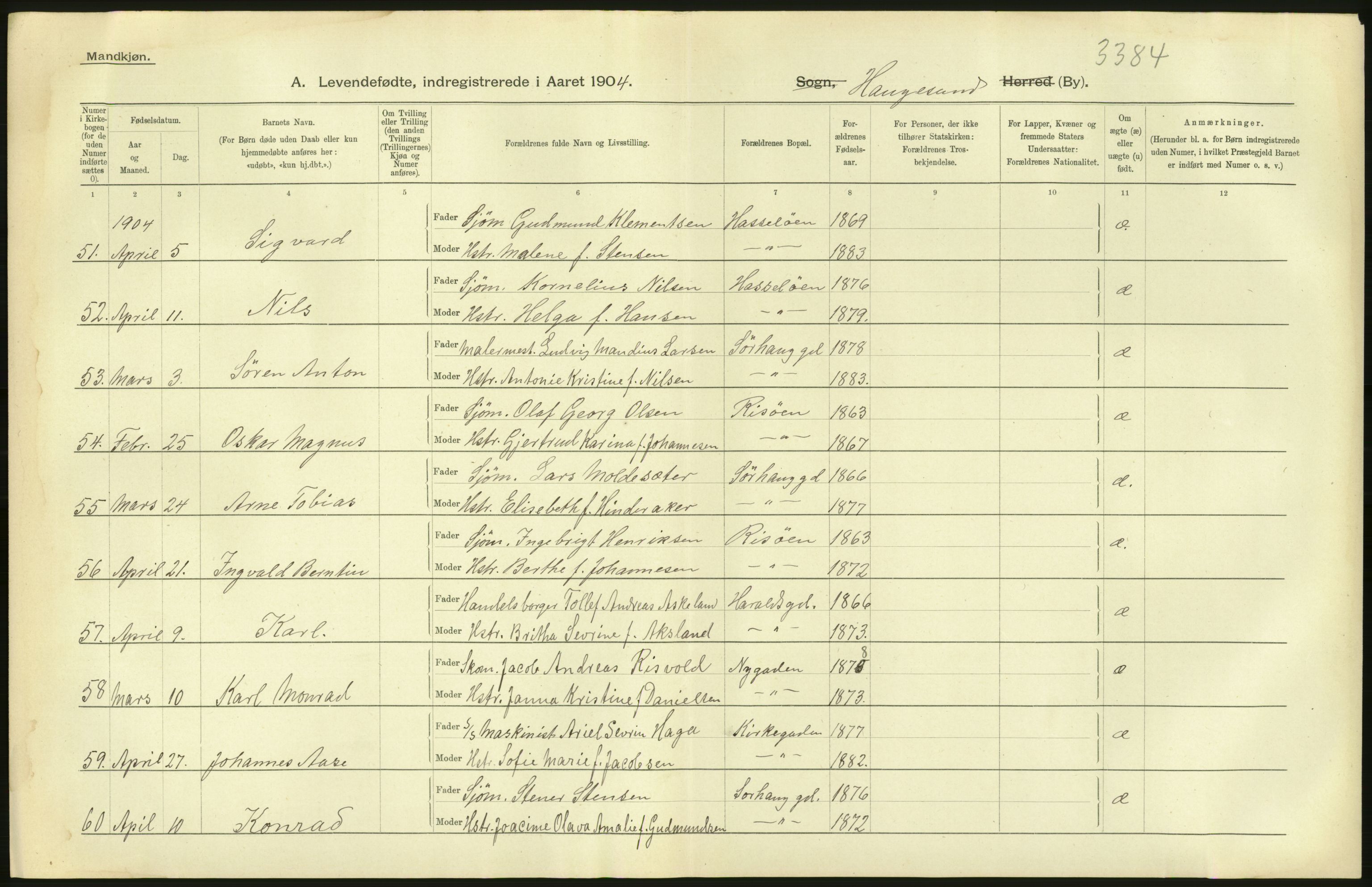 Statistisk sentralbyrå, Sosiodemografiske emner, Befolkning, AV/RA-S-2228/D/Df/Dfa/Dfab/L0012: Stavanger amt: Fødte, gifte, døde, 1904, p. 24