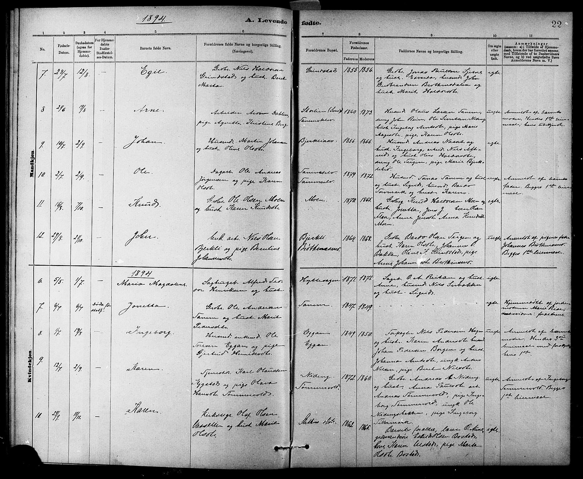 Ministerialprotokoller, klokkerbøker og fødselsregistre - Sør-Trøndelag, SAT/A-1456/618/L0452: Parish register (copy) no. 618C03, 1884-1906, p. 22