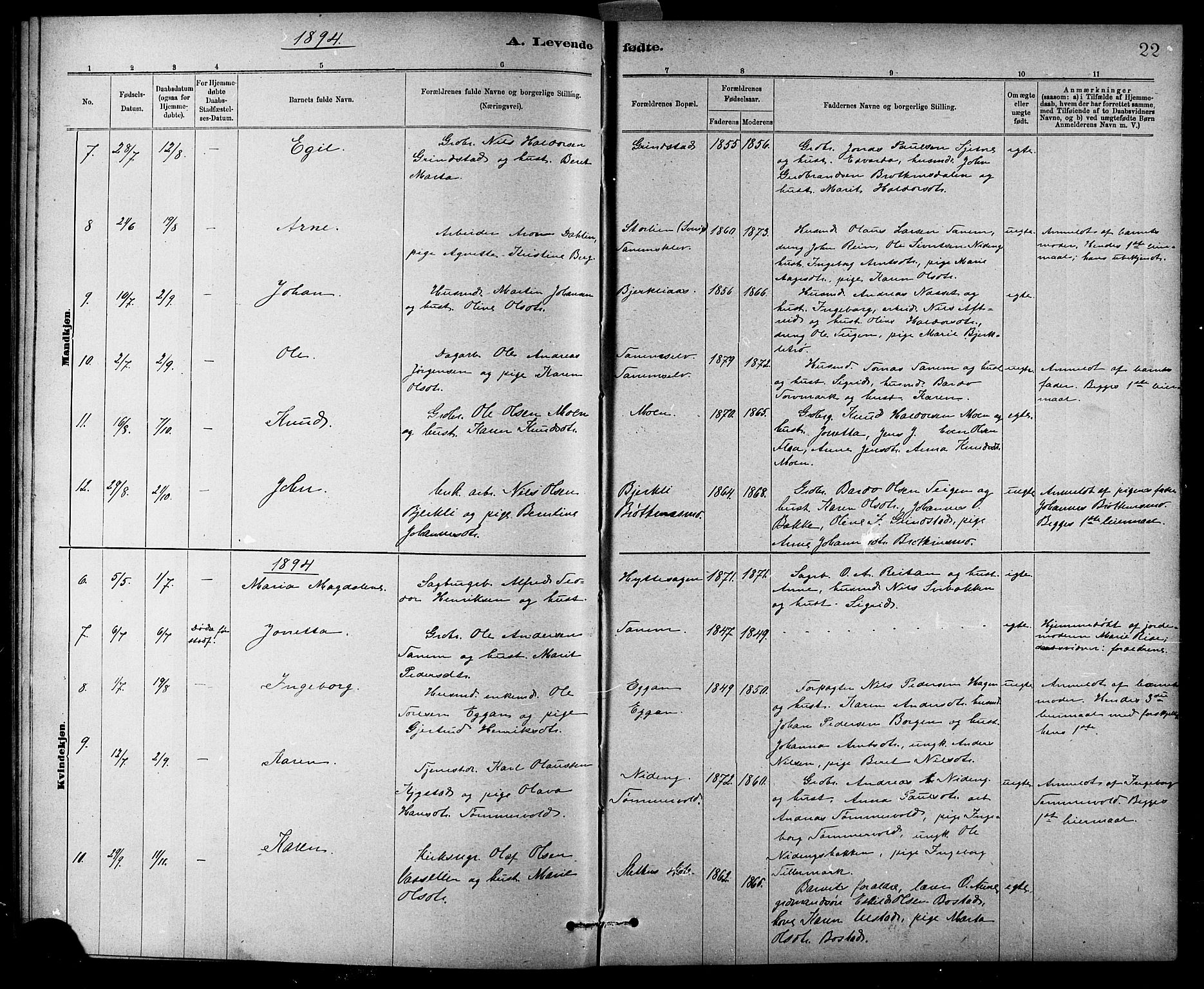 Ministerialprotokoller, klokkerbøker og fødselsregistre - Sør-Trøndelag, AV/SAT-A-1456/618/L0452: Parish register (copy) no. 618C03, 1884-1906, p. 22