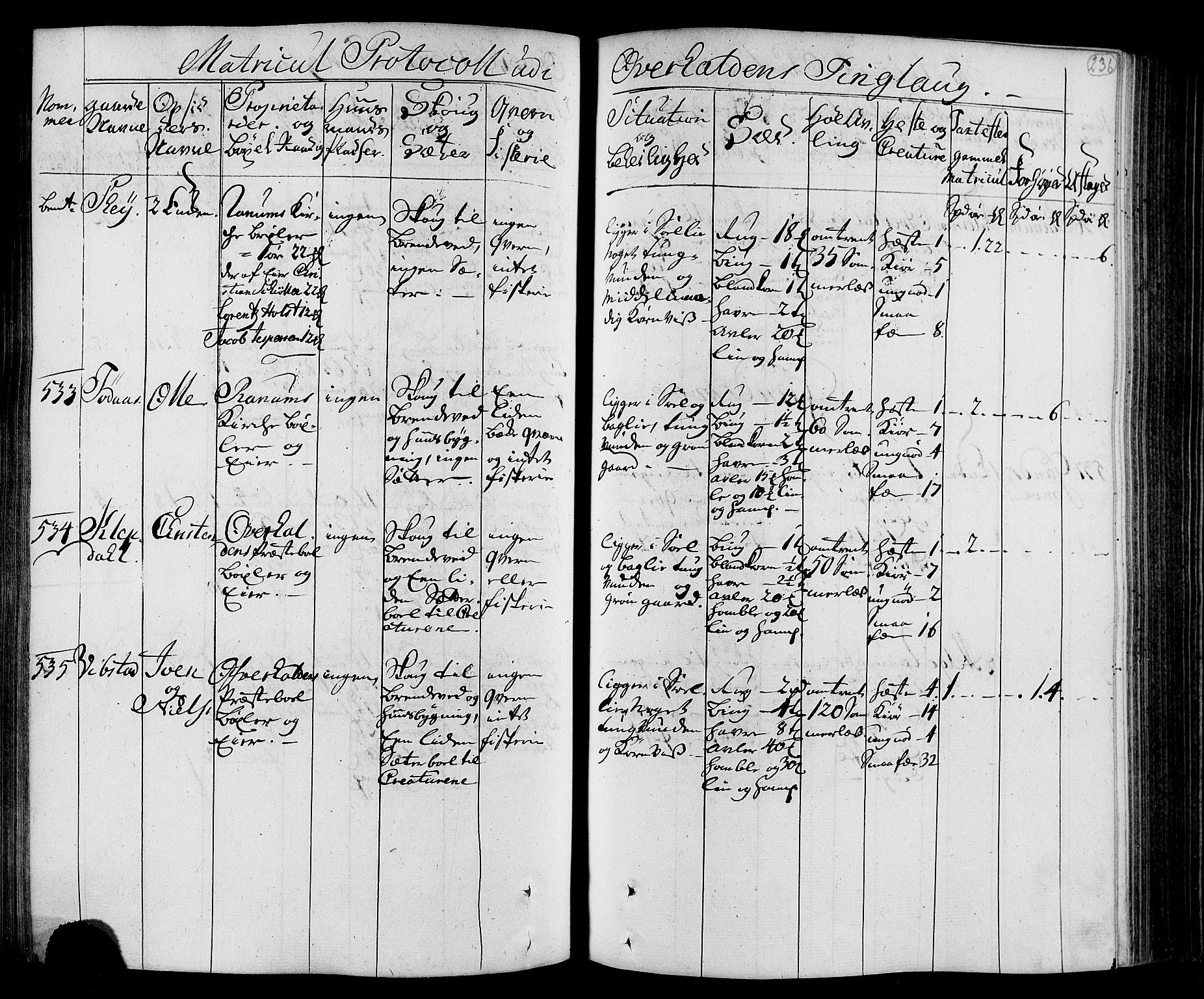 Rentekammeret inntil 1814, Realistisk ordnet avdeling, AV/RA-EA-4070/N/Nb/Nbf/L0168: Namdalen eksaminasjonsprotokoll, 1723, p. 239
