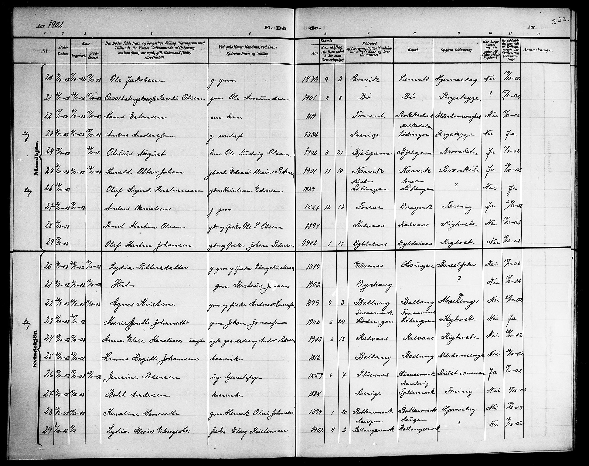 Ministerialprotokoller, klokkerbøker og fødselsregistre - Nordland, AV/SAT-A-1459/863/L0915: Parish register (copy) no. 863C05, 1898-1907, p. 232