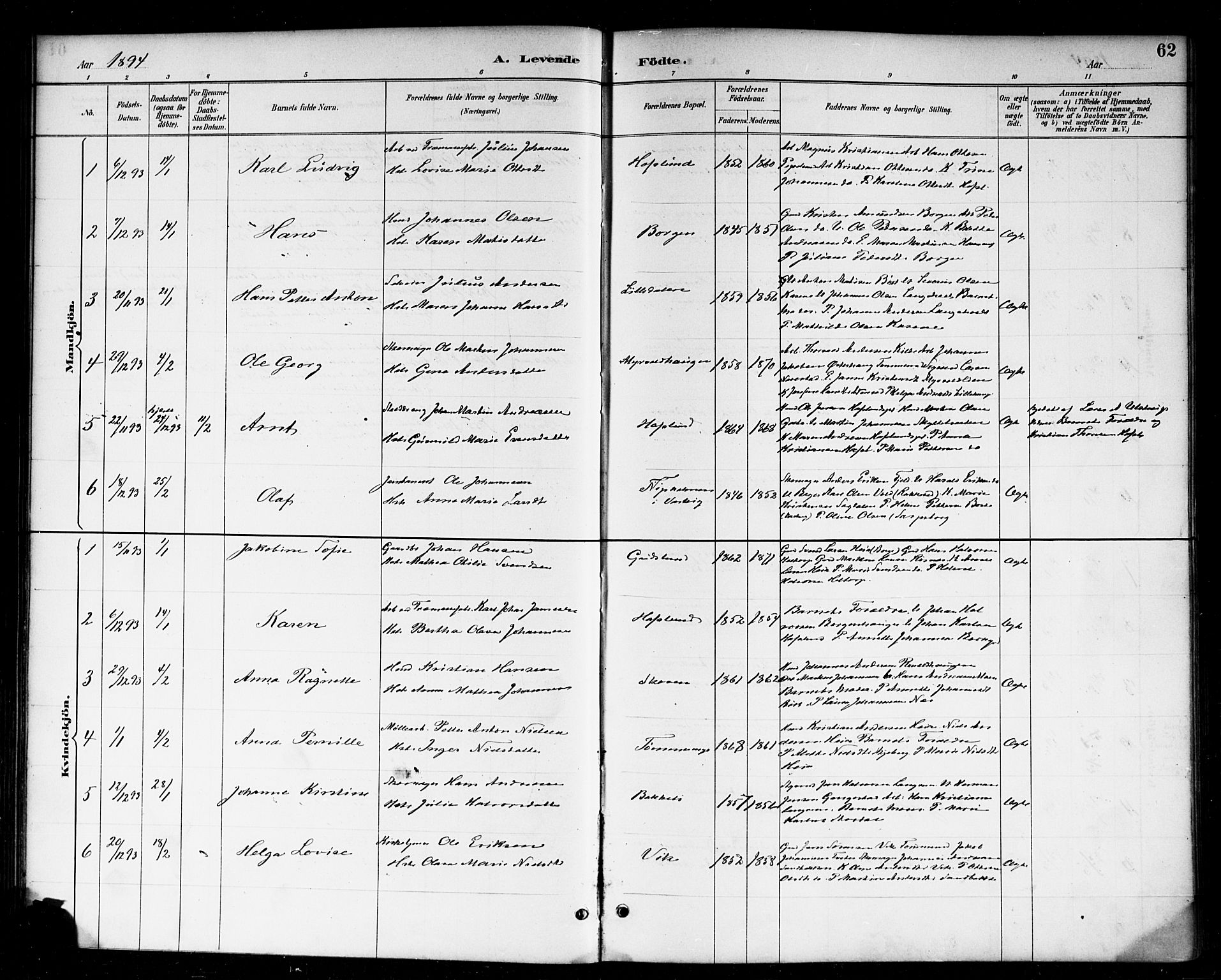Skjeberg prestekontor Kirkebøker, SAO/A-10923/F/Fa/L0009: Parish register (official) no. I 9, 1886-1897, p. 62