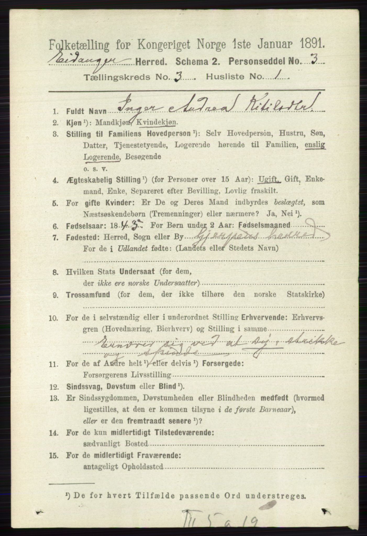 RA, 1891 census for 0813 Eidanger, 1891, p. 1529