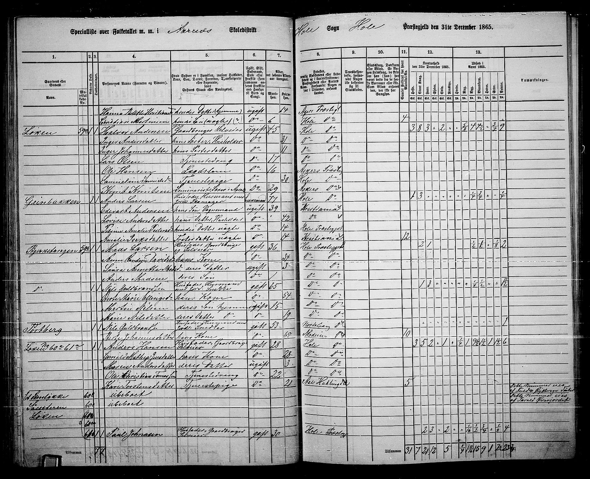 RA, 1865 census for Hole, 1865, p. 52