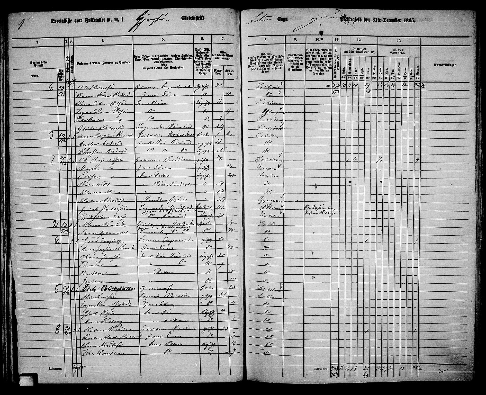 RA, 1865 census for Solum, 1865, p. 61