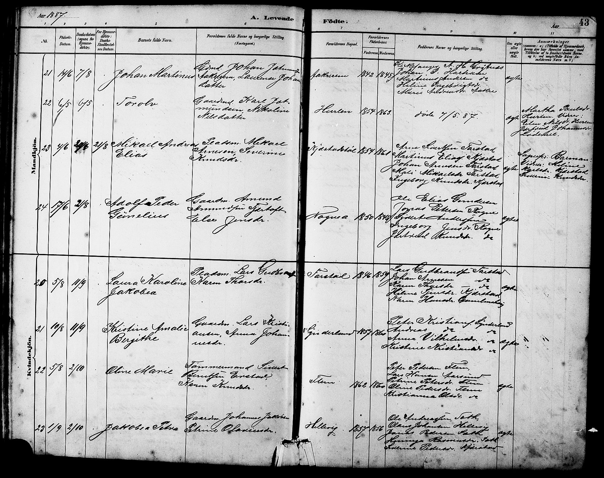 Ministerialprotokoller, klokkerbøker og fødselsregistre - Møre og Romsdal, SAT/A-1454/536/L0510: Parish register (copy) no. 536C05, 1881-1898, p. 43