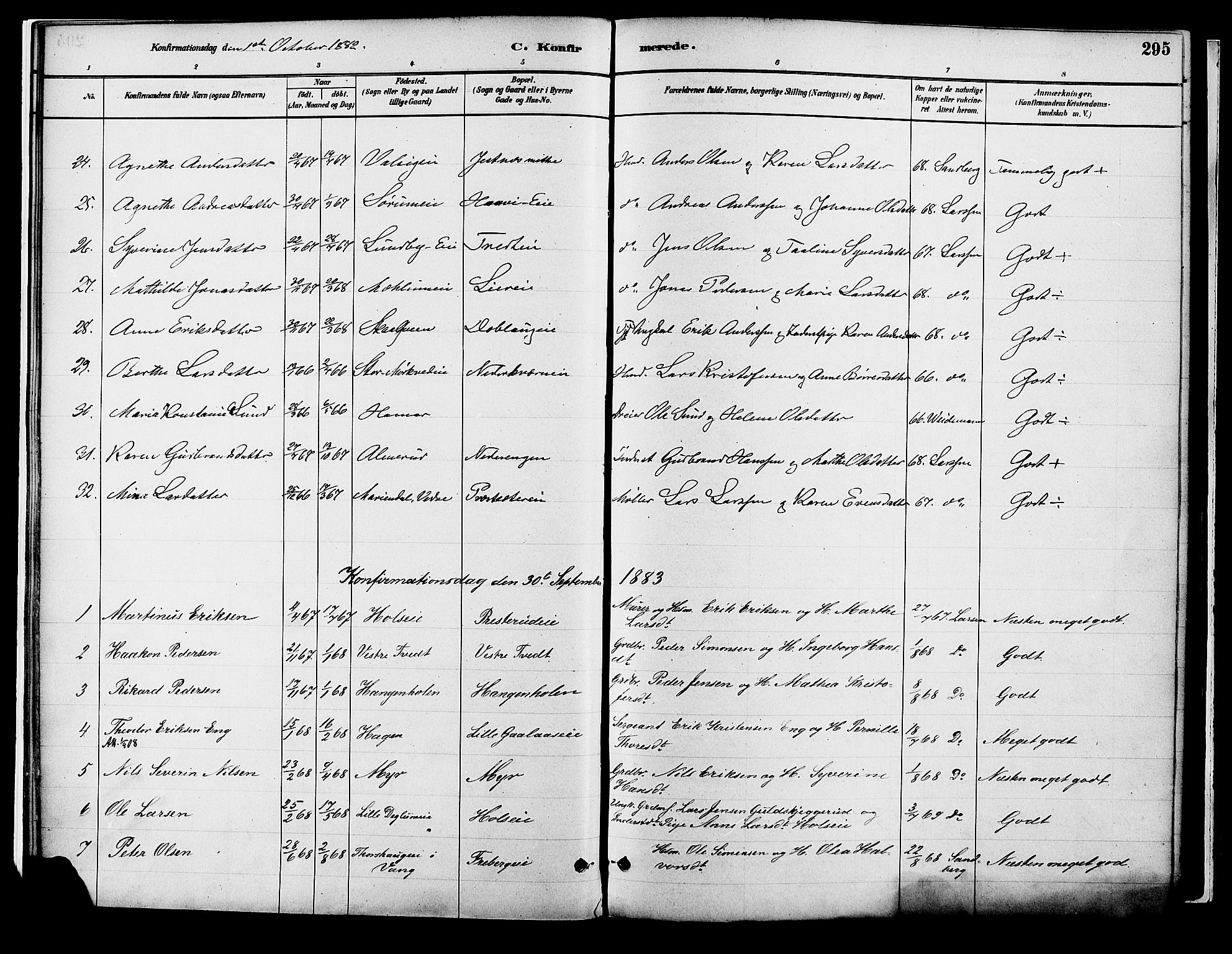 Vang prestekontor, Hedmark, SAH/PREST-008/H/Ha/Haa/L0018B: Parish register (official) no. 18B, 1880-1906, p. 295