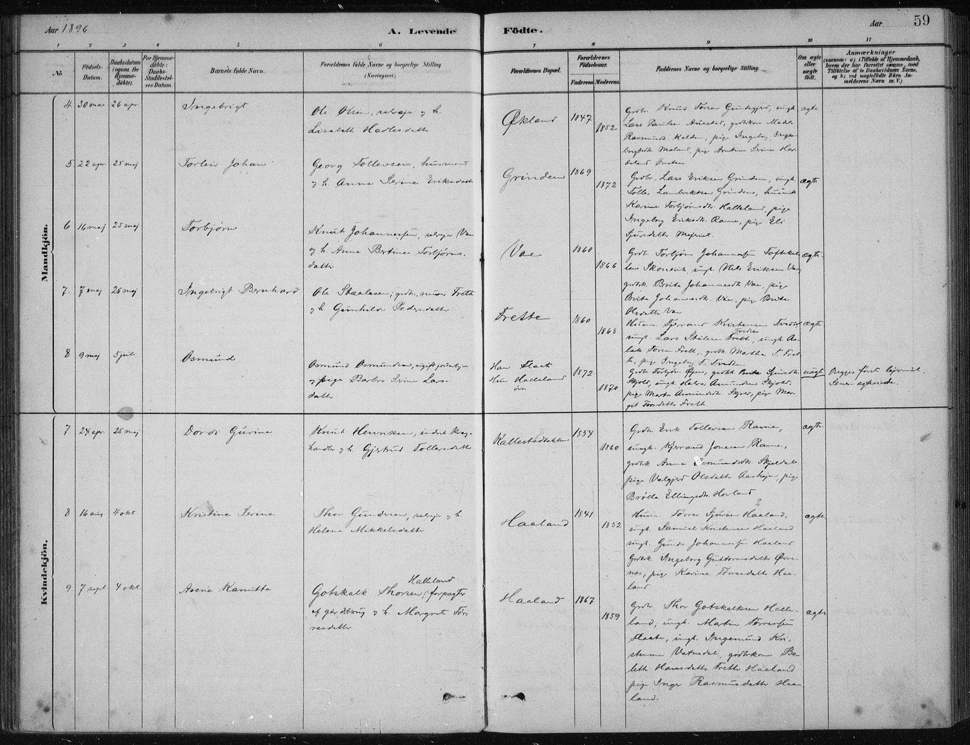 Etne sokneprestembete, AV/SAB-A-75001/H/Haa: Parish register (official) no. D  1, 1879-1919, p. 59