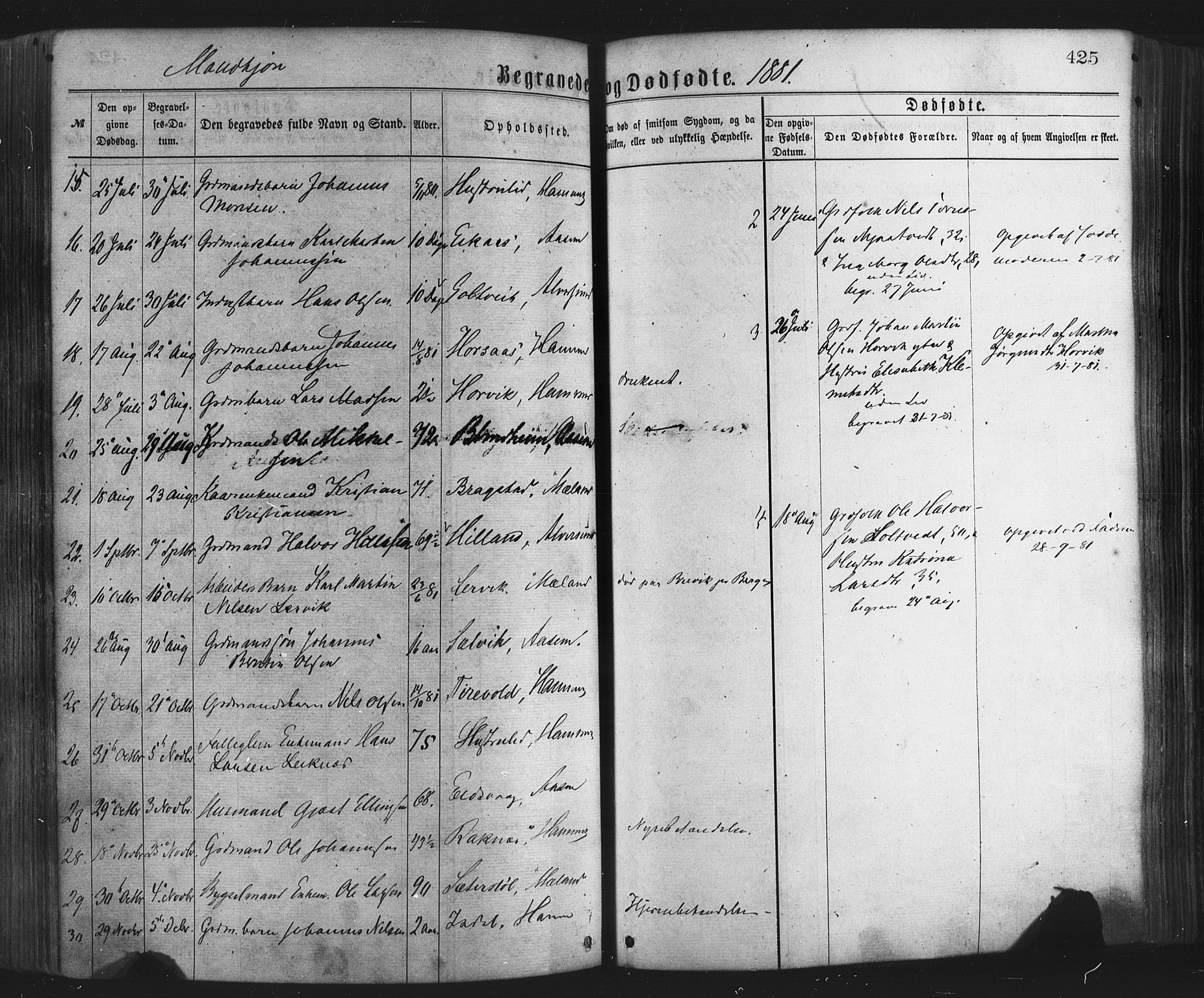 Hamre sokneprestembete, AV/SAB-A-75501/H/Ha/Haa/Haaa/L0015: Parish register (official) no. A 15, 1870-1881, p. 425