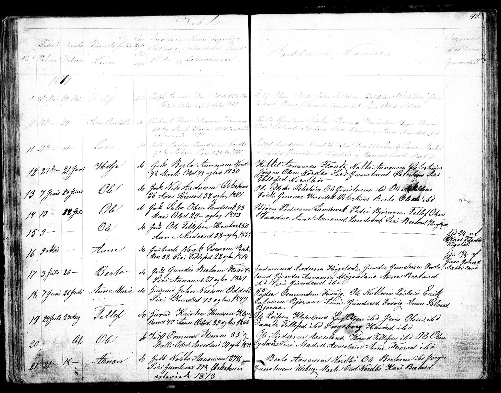 Evje sokneprestkontor, AV/SAK-1111-0008/F/Fb/Fba/L0002: Parish register (copy) no. B 2, 1849-1896, p. 45