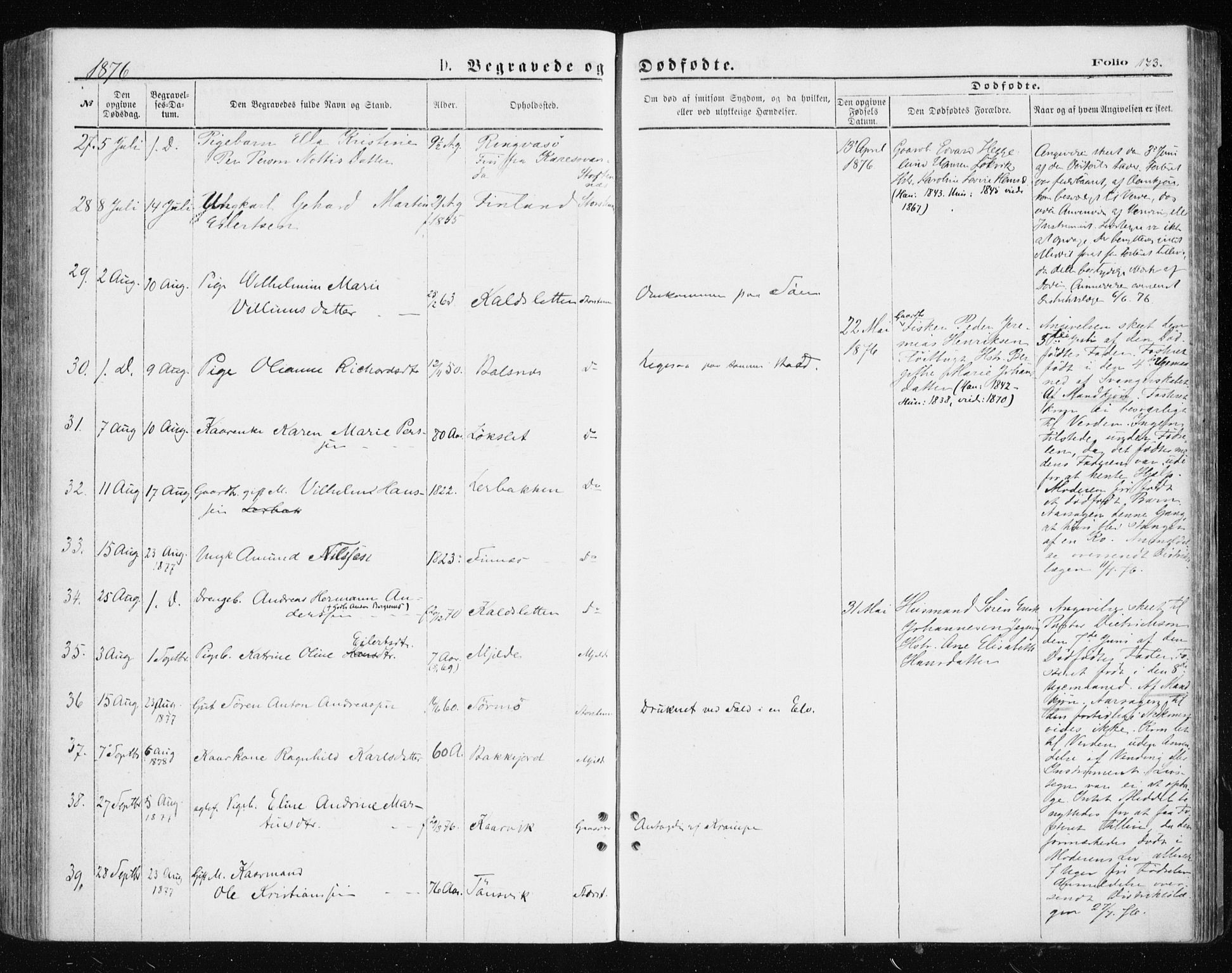 Tromsøysund sokneprestkontor, AV/SATØ-S-1304/G/Ga/L0003kirke: Parish register (official) no. 3, 1875-1880, p. 173