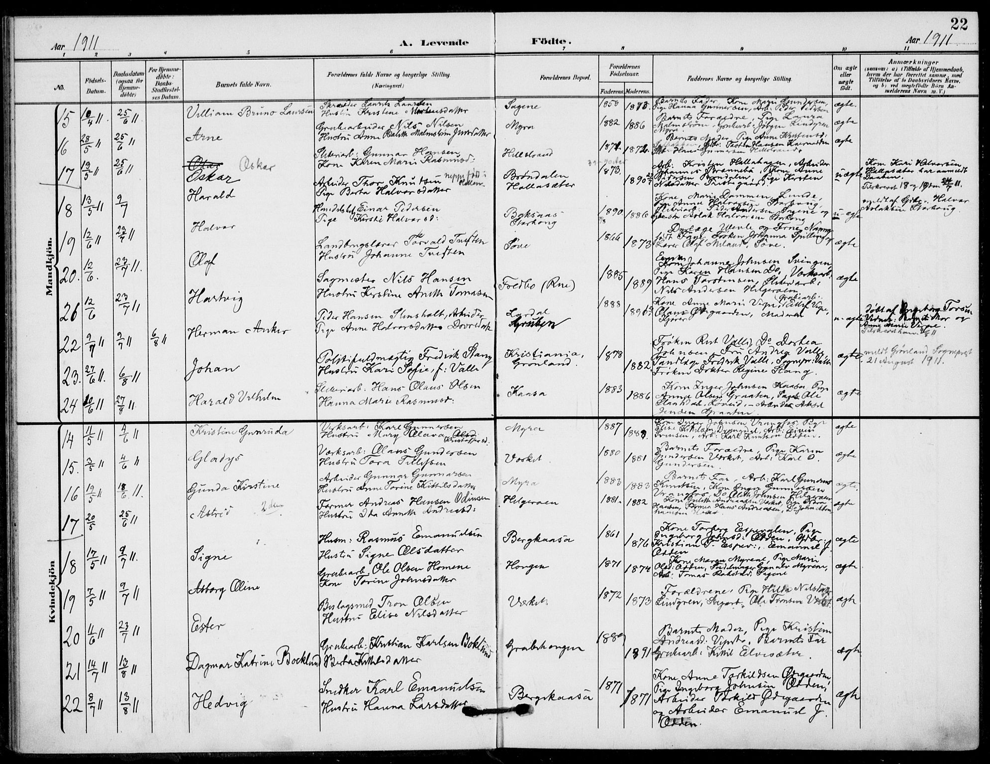 Holla kirkebøker, AV/SAKO-A-272/F/Fa/L0012: Parish register (official) no. 12, 1907-1923, p. 22