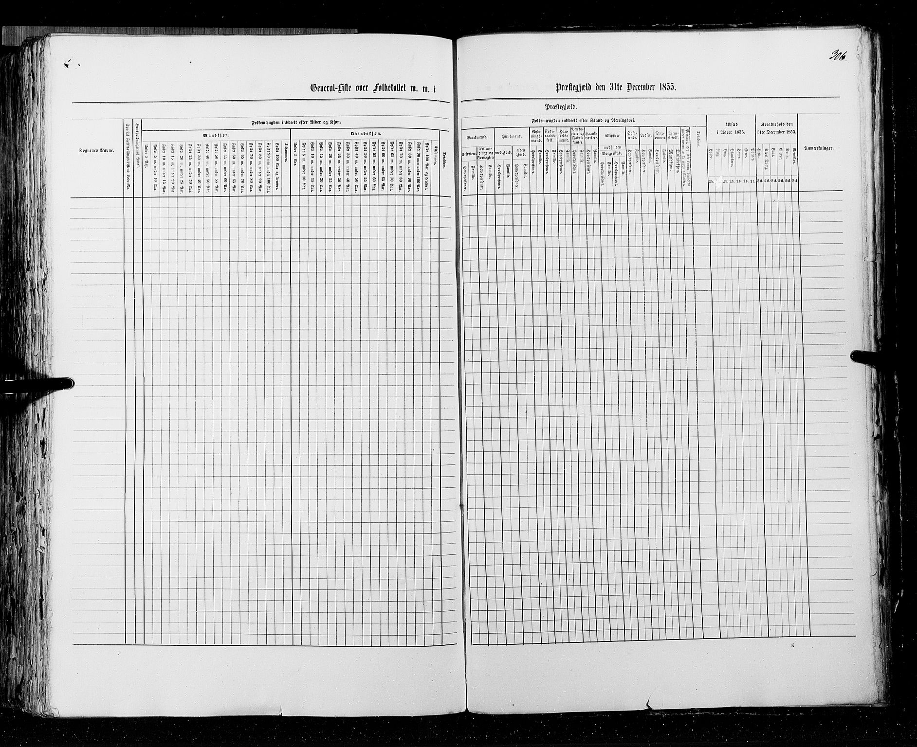 RA, Census 1855, vol. 3: Bratsberg amt, Nedenes amt og Lister og Mandal amt, 1855, p. 306