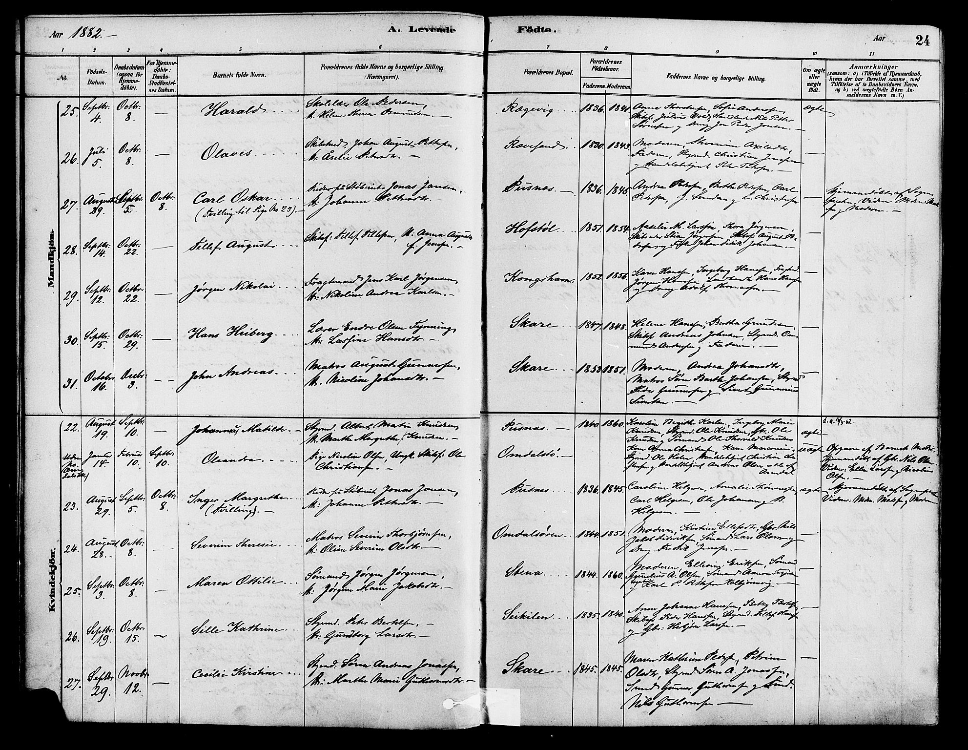 Tromøy sokneprestkontor, AV/SAK-1111-0041/F/Fa/L0009: Parish register (official) no. A 9, 1878-1896, p. 24