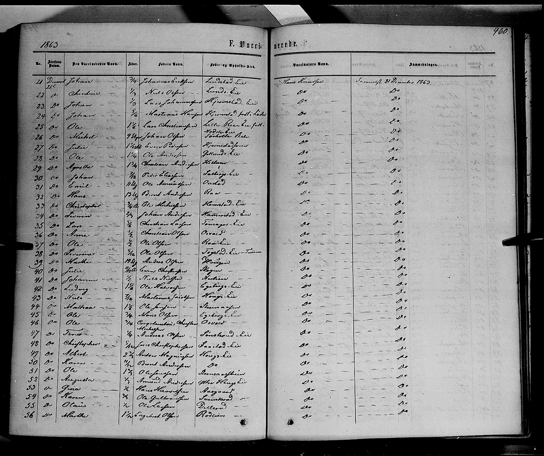 Stange prestekontor, SAH/PREST-002/K/L0013: Parish register (official) no. 13, 1862-1879, p. 460