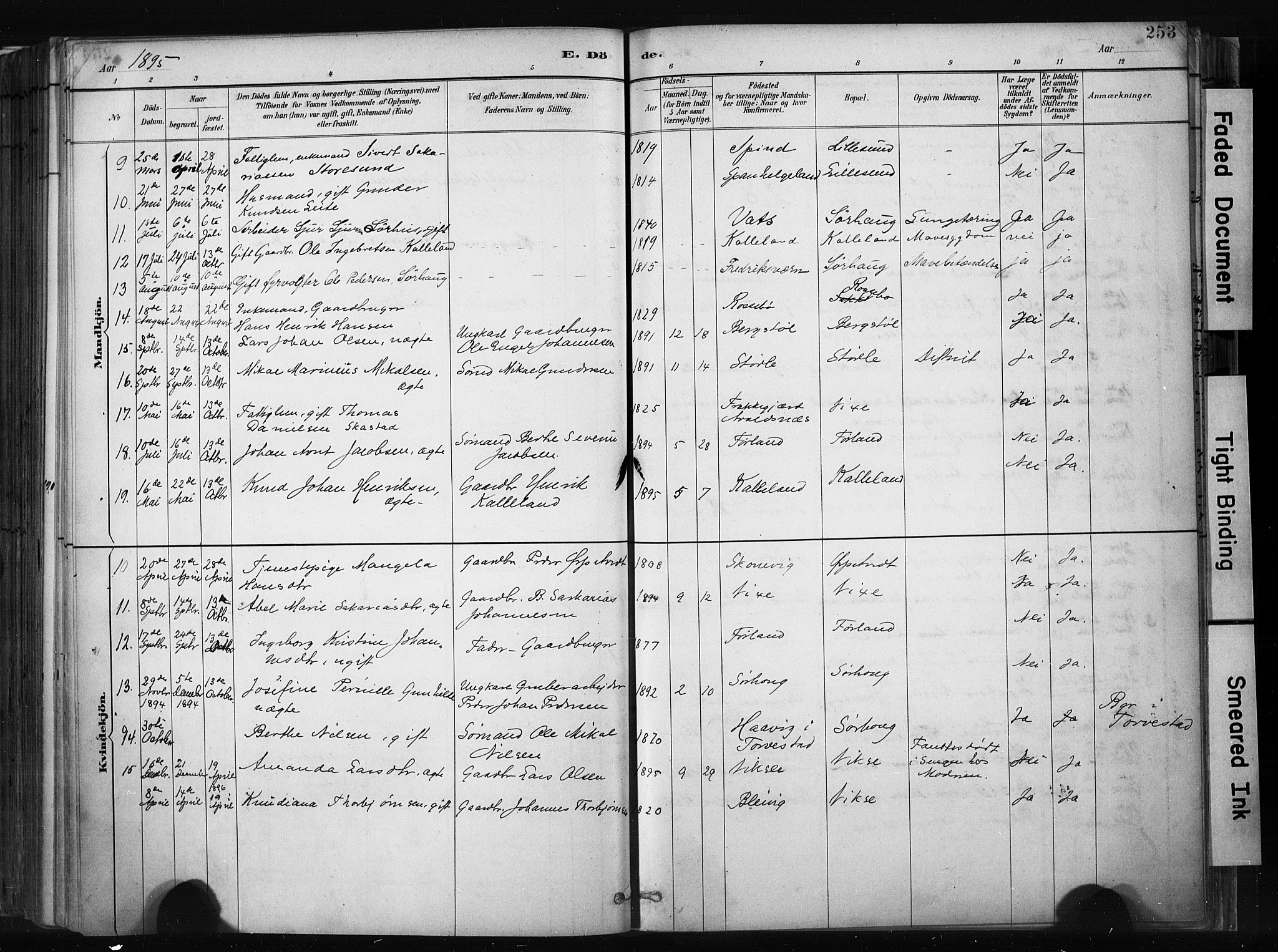 Haugesund sokneprestkontor, AV/SAST-A -101863/H/Ha/Haa/L0004: Parish register (official) no. A 4, 1886-1908, p. 253