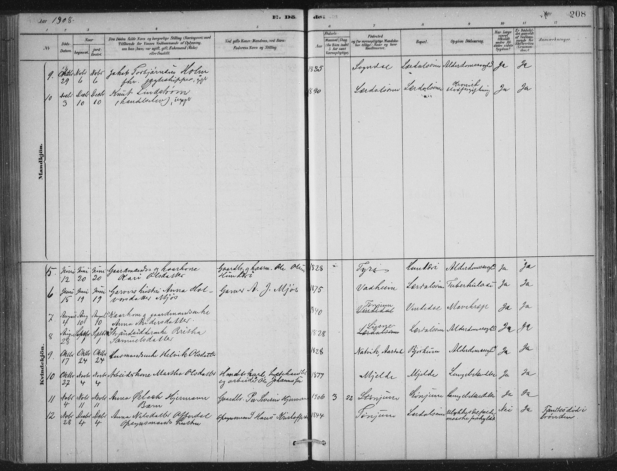 Lærdal sokneprestembete, AV/SAB-A-81201: Parish register (official) no. D  1, 1878-1908, p. 208