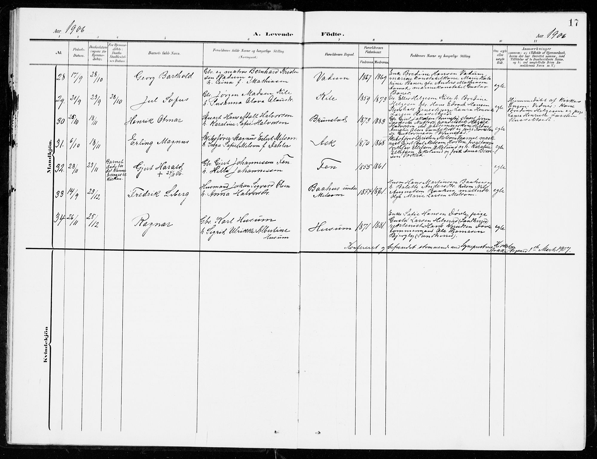 Stokke kirkebøker, AV/SAKO-A-320/G/Ga/L0001: Parish register (copy) no. I 1, 1904-1940, p. 17