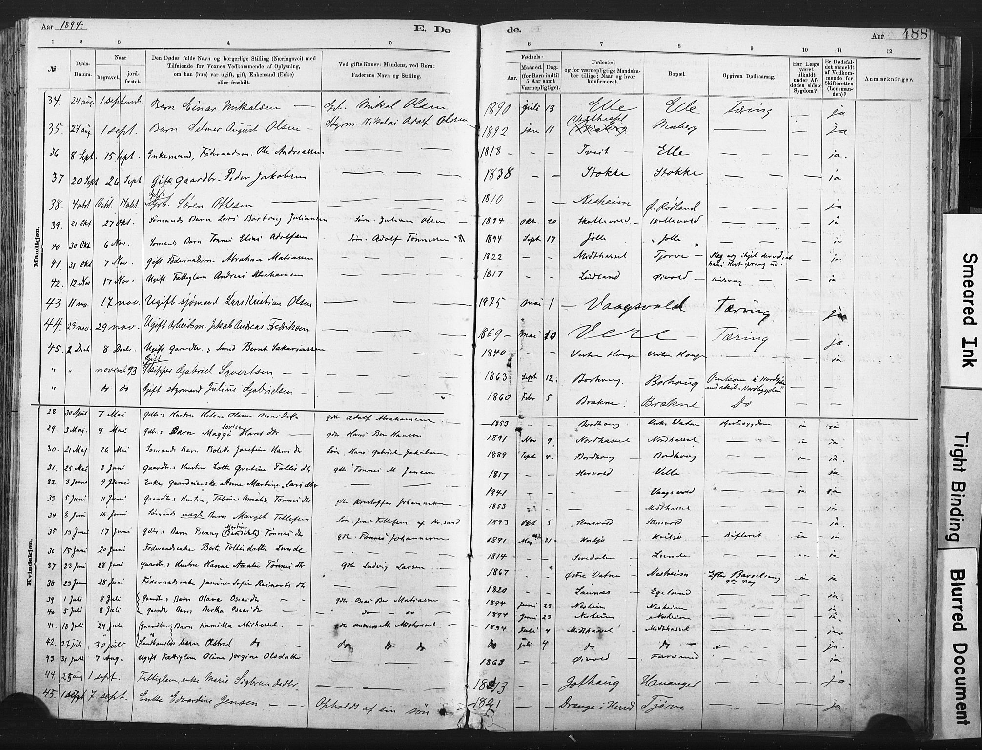 Lista sokneprestkontor, AV/SAK-1111-0027/F/Fa/L0012: Parish register (official) no. A 12, 1879-1903, p. 488