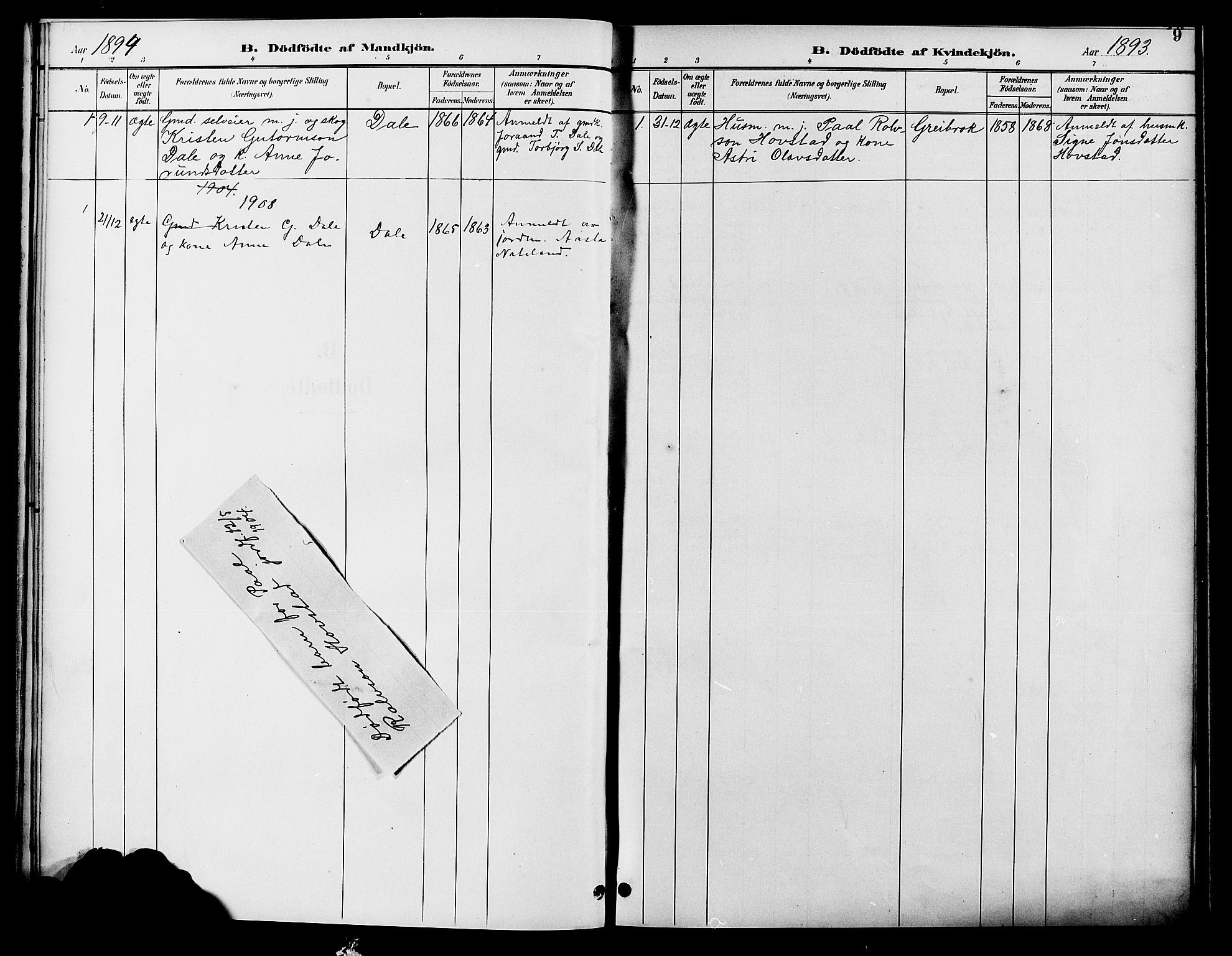Bygland sokneprestkontor, SAK/1111-0006/F/Fb/Fbd/L0002: Parish register (copy) no. B 2, 1894-1909, p. 9