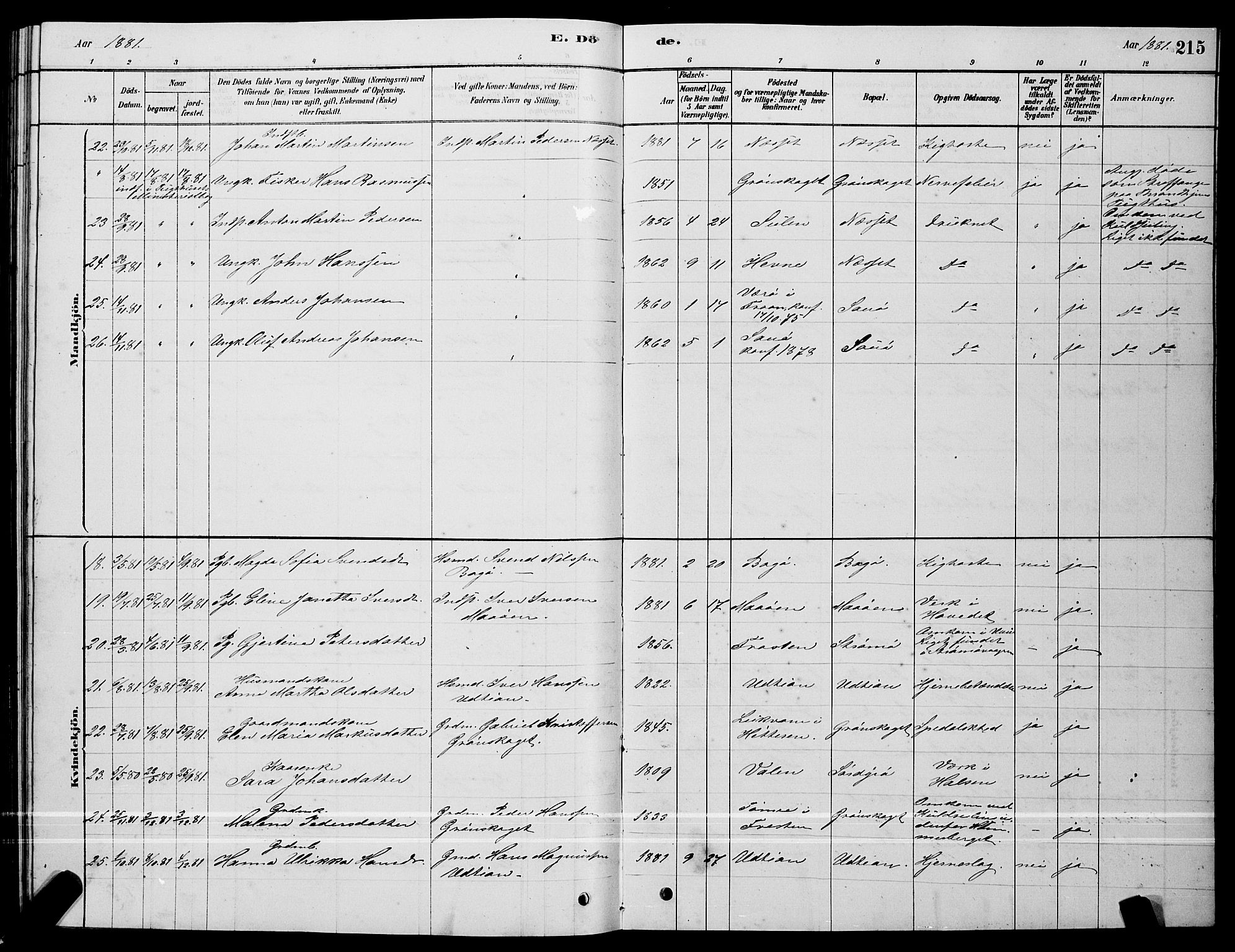 Ministerialprotokoller, klokkerbøker og fødselsregistre - Sør-Trøndelag, SAT/A-1456/640/L0585: Parish register (copy) no. 640C03, 1878-1891, p. 215