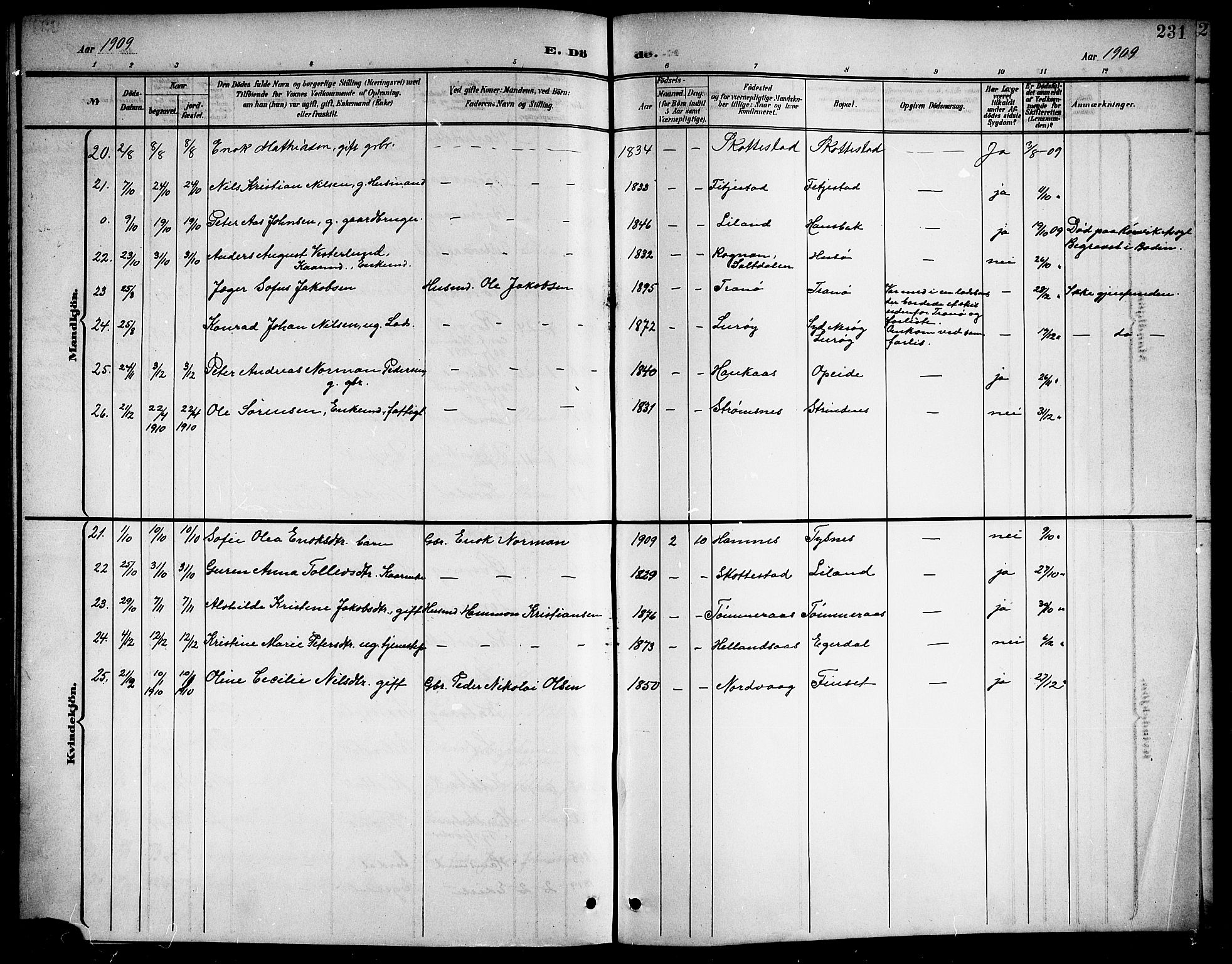 Ministerialprotokoller, klokkerbøker og fødselsregistre - Nordland, AV/SAT-A-1459/859/L0860: Parish register (copy) no. 859C06, 1899-1909, p. 231