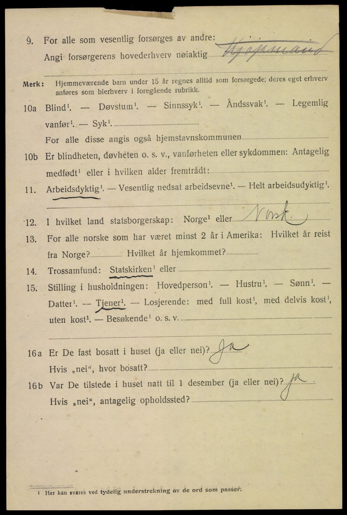 SAH, 1920 census for Hamar, 1920, p. 12994