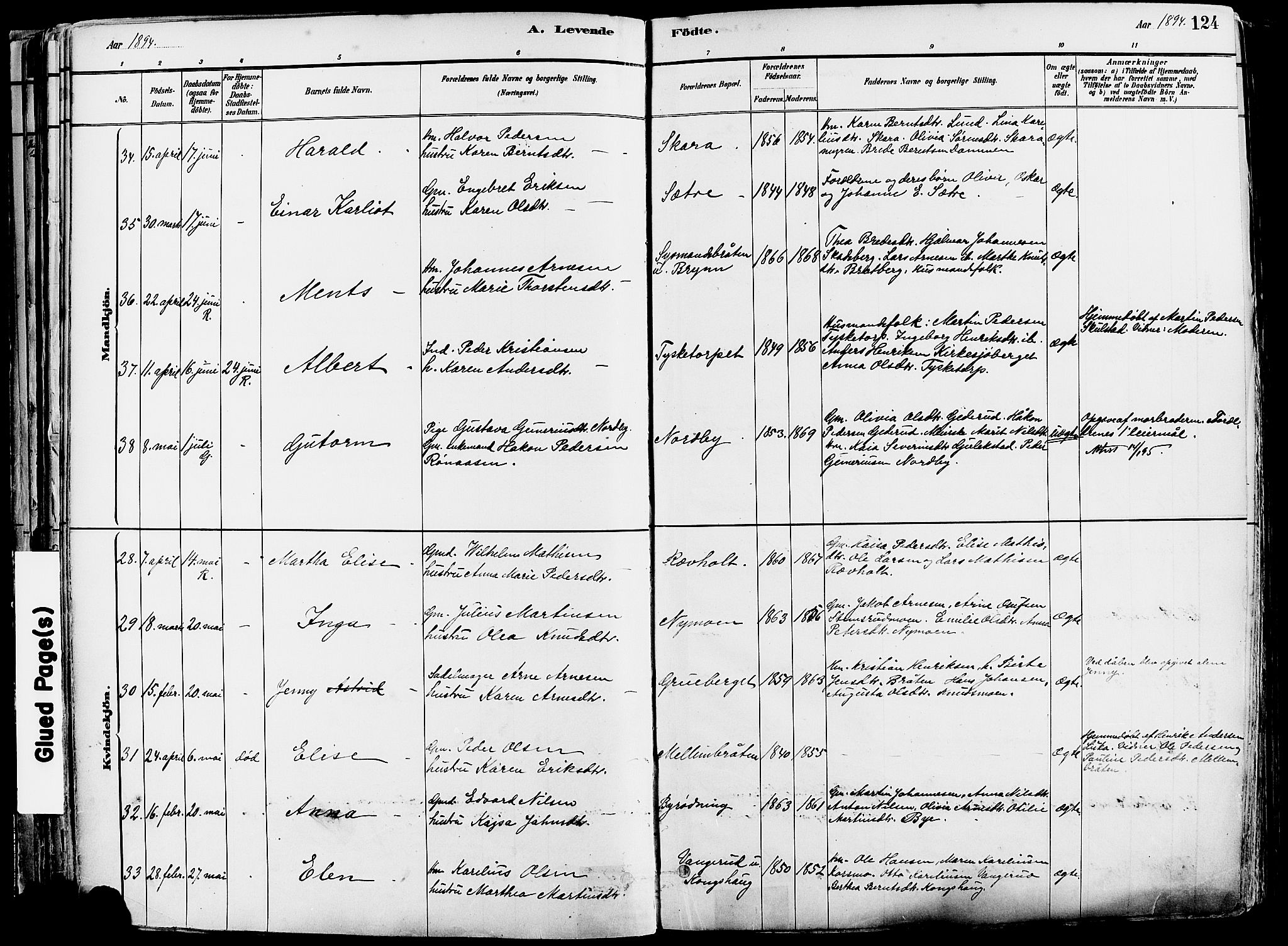 Grue prestekontor, AV/SAH-PREST-036/H/Ha/Haa/L0012: Parish register (official) no. 12, 1881-1897, p. 124