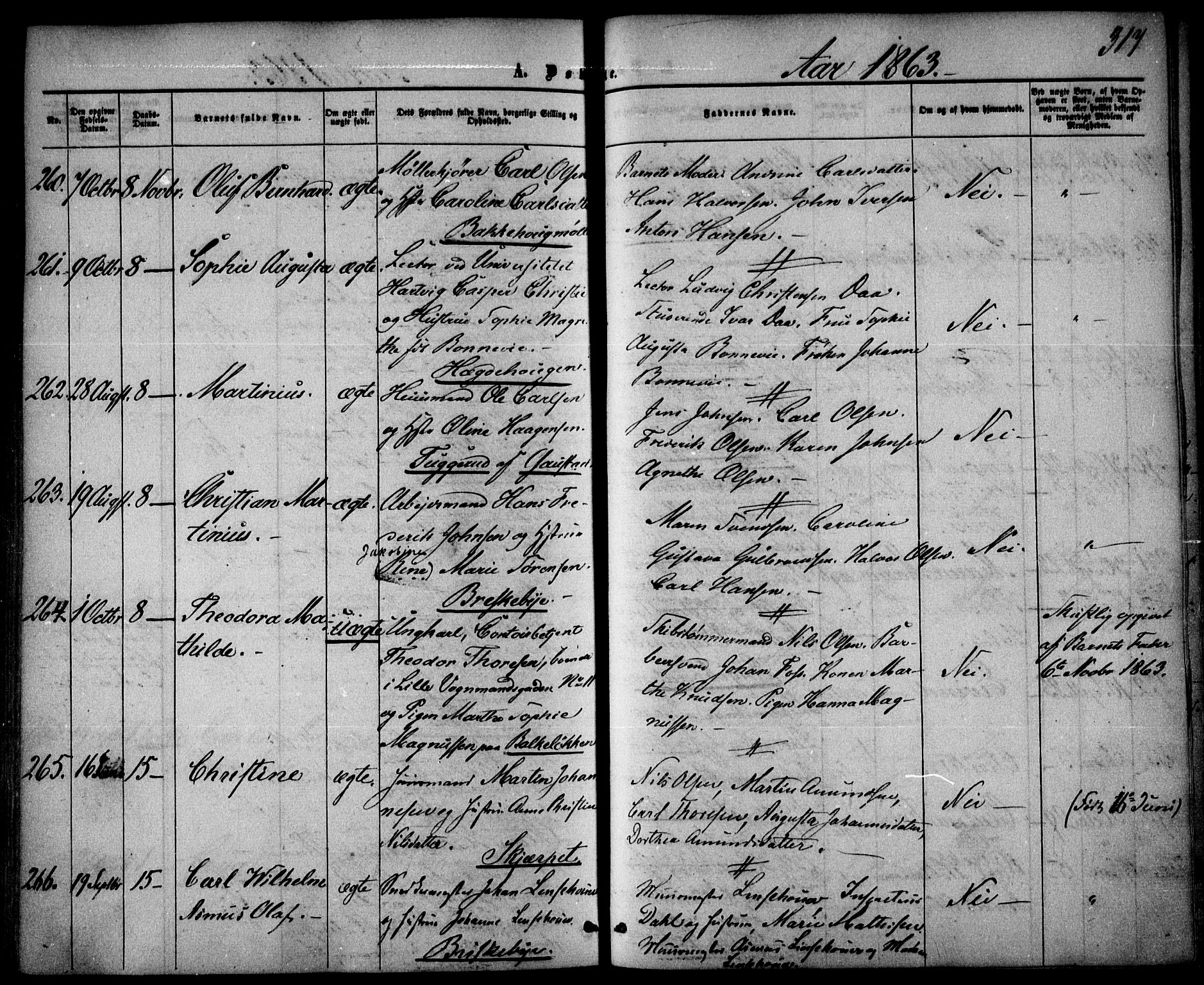 Vestre Aker prestekontor Kirkebøker, AV/SAO-A-10025/F/Fa/L0003: Parish register (official) no. 3, 1857-1868, p. 317