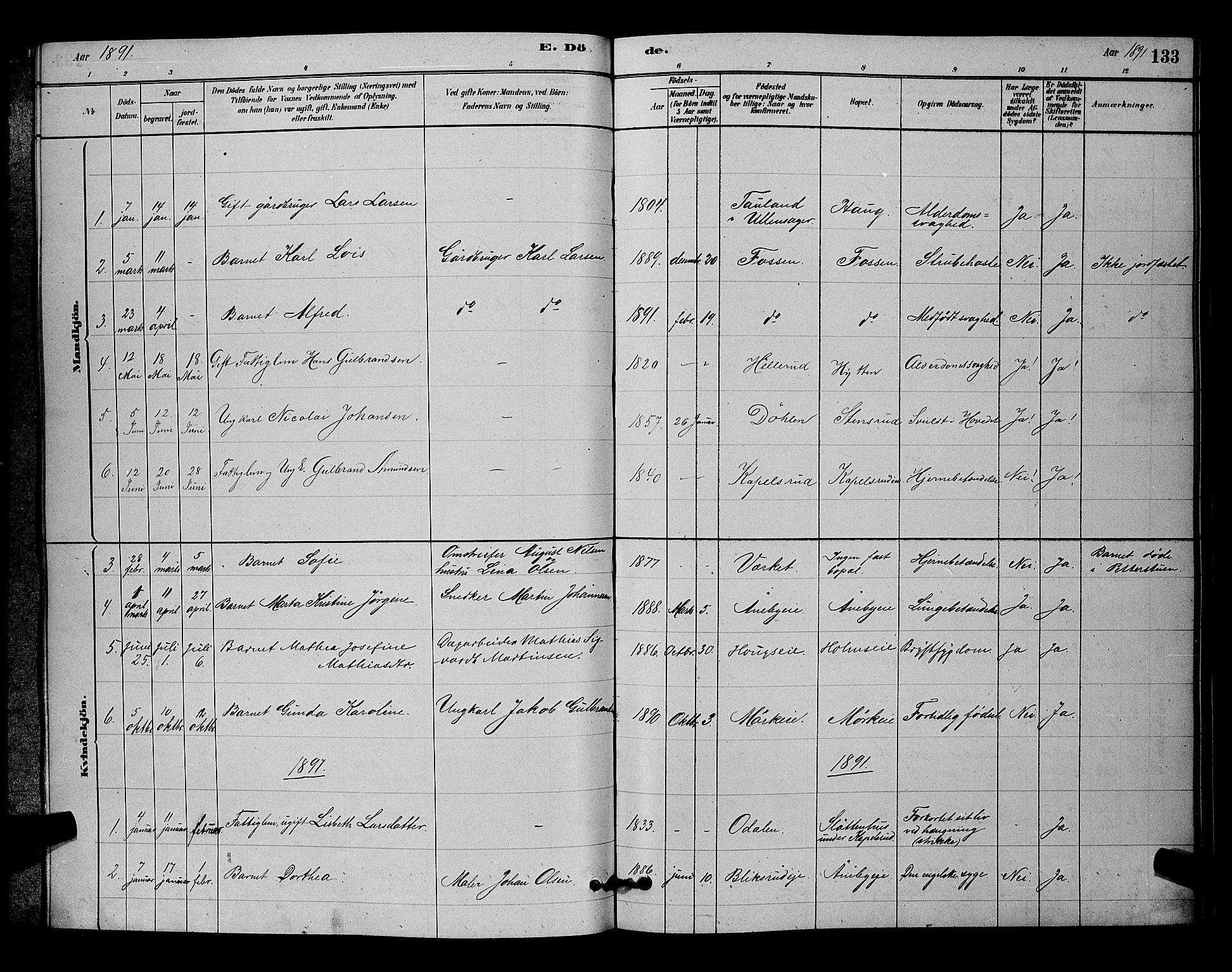 Nittedal prestekontor Kirkebøker, SAO/A-10365a/G/Gb/L0002: Parish register (copy) no. II 2, 1879-1901, p. 133