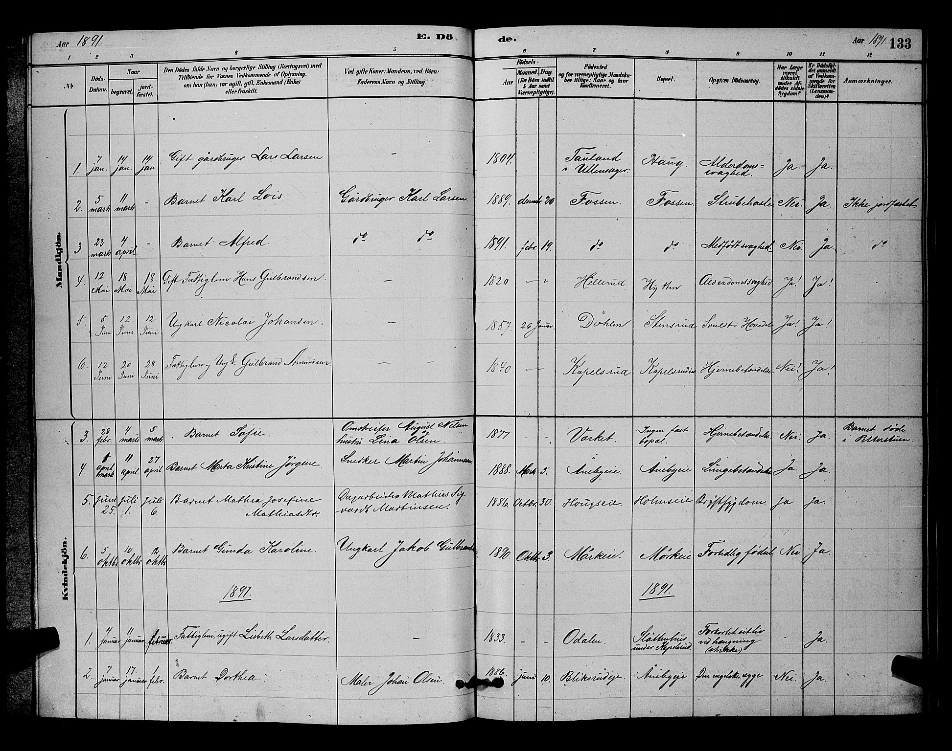 Nittedal prestekontor Kirkebøker, AV/SAO-A-10365a/G/Gb/L0002: Parish register (copy) no. II 2, 1879-1901, p. 133