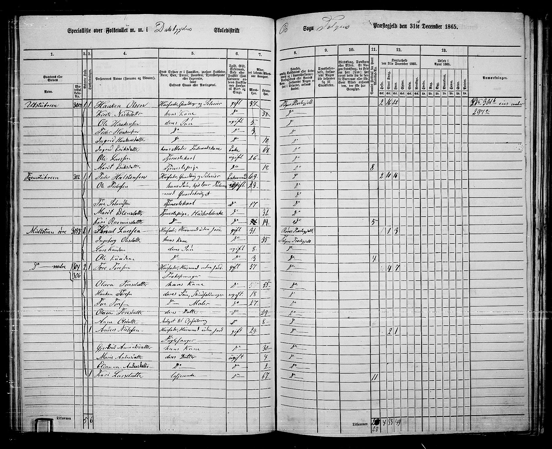 RA, 1865 census for Tolga, 1865, p. 125