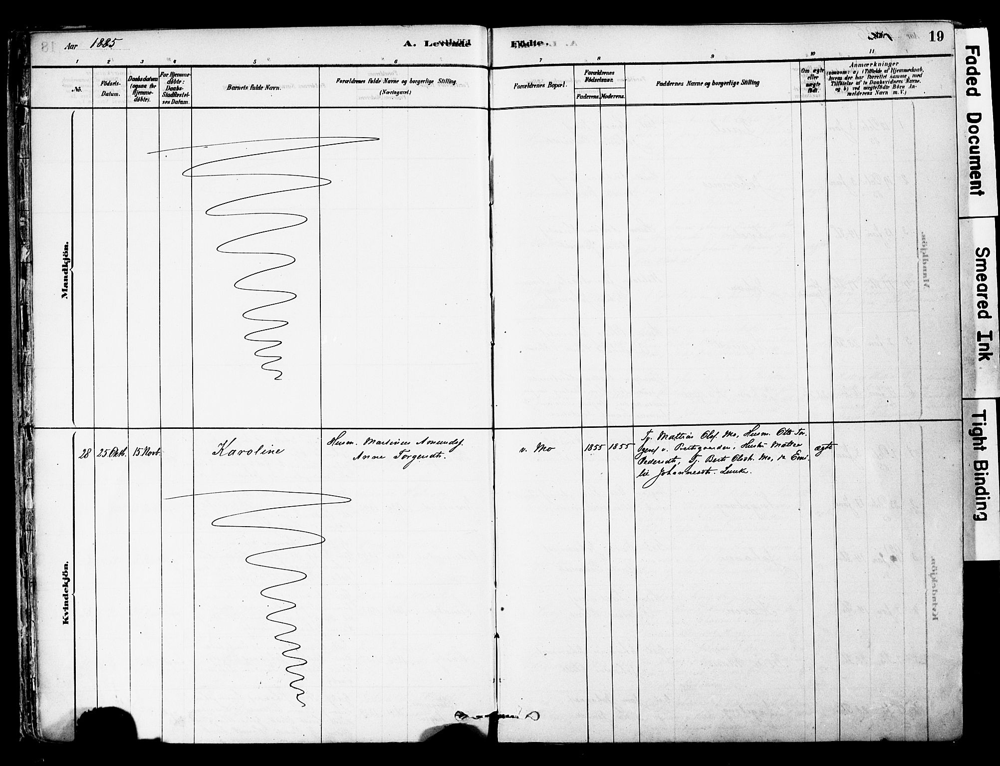 Øyer prestekontor, SAH/PREST-084/H/Ha/Haa/L0008: Parish register (official) no. 8, 1878-1897, p. 19