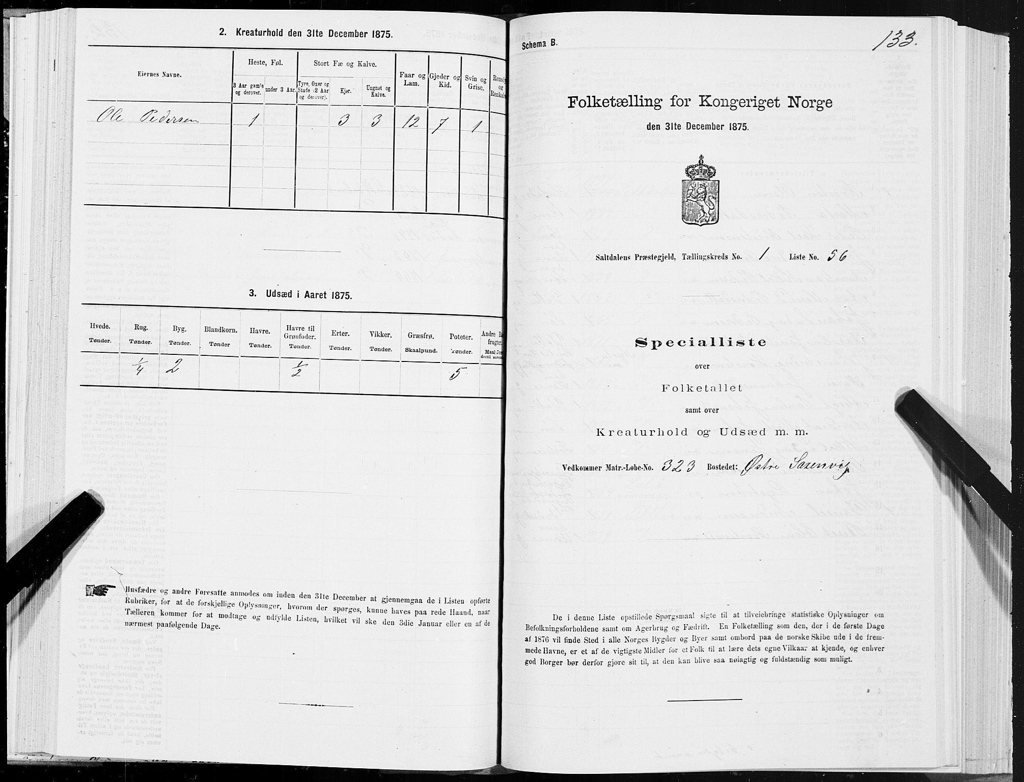 SAT, 1875 census for 1840P Saltdal, 1875, p. 1133