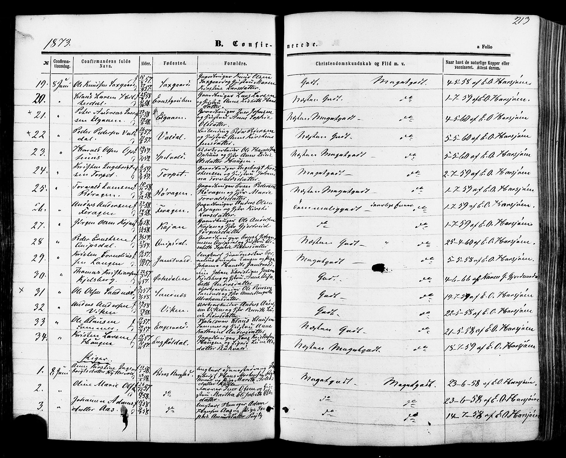 Ministerialprotokoller, klokkerbøker og fødselsregistre - Sør-Trøndelag, SAT/A-1456/681/L0932: Parish register (official) no. 681A10, 1860-1878, p. 213