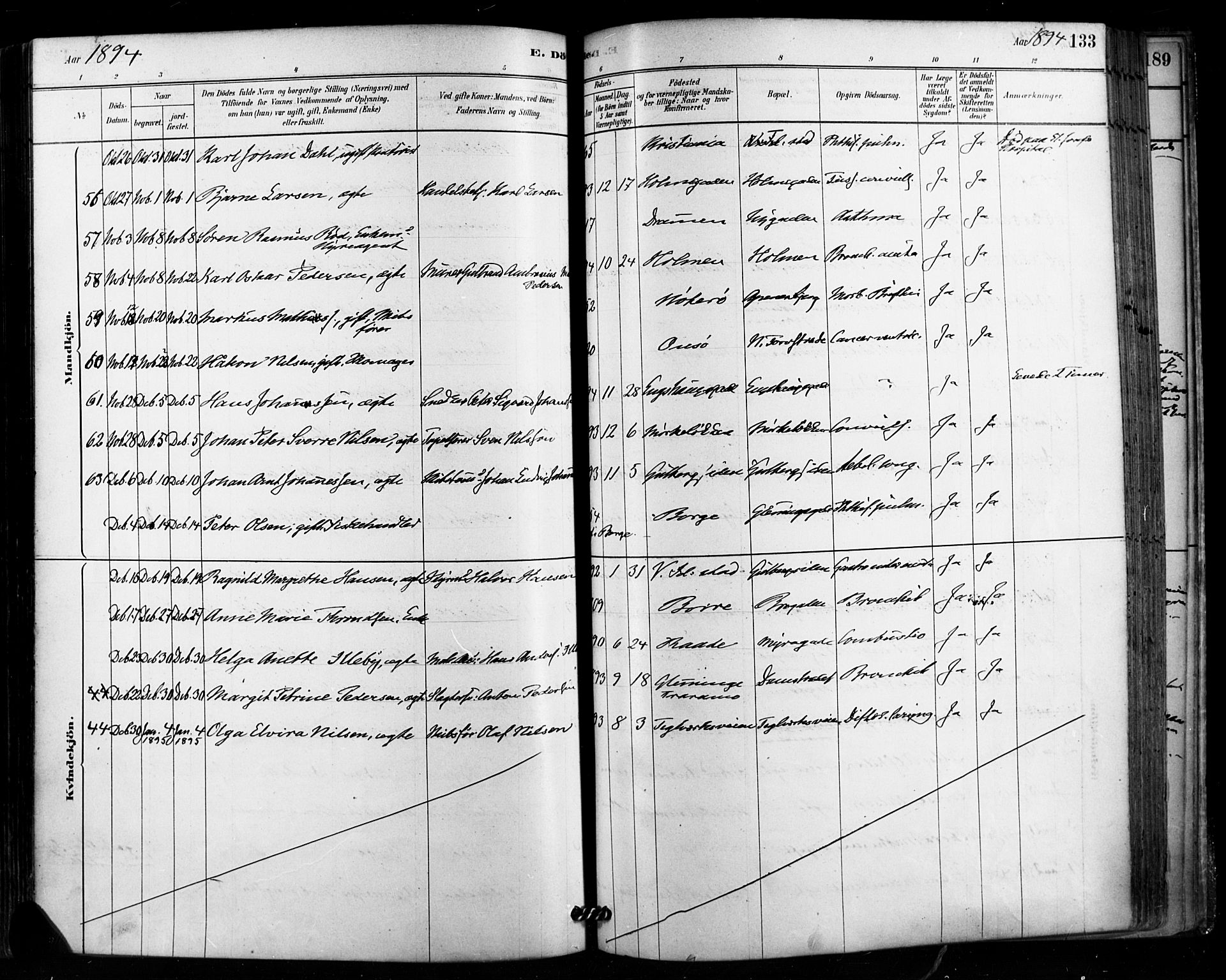 Fredrikstad domkirkes prestekontor Kirkebøker, AV/SAO-A-10906/F/Fa/L0003: Parish register (official) no. 3, 1878-1904, p. 133