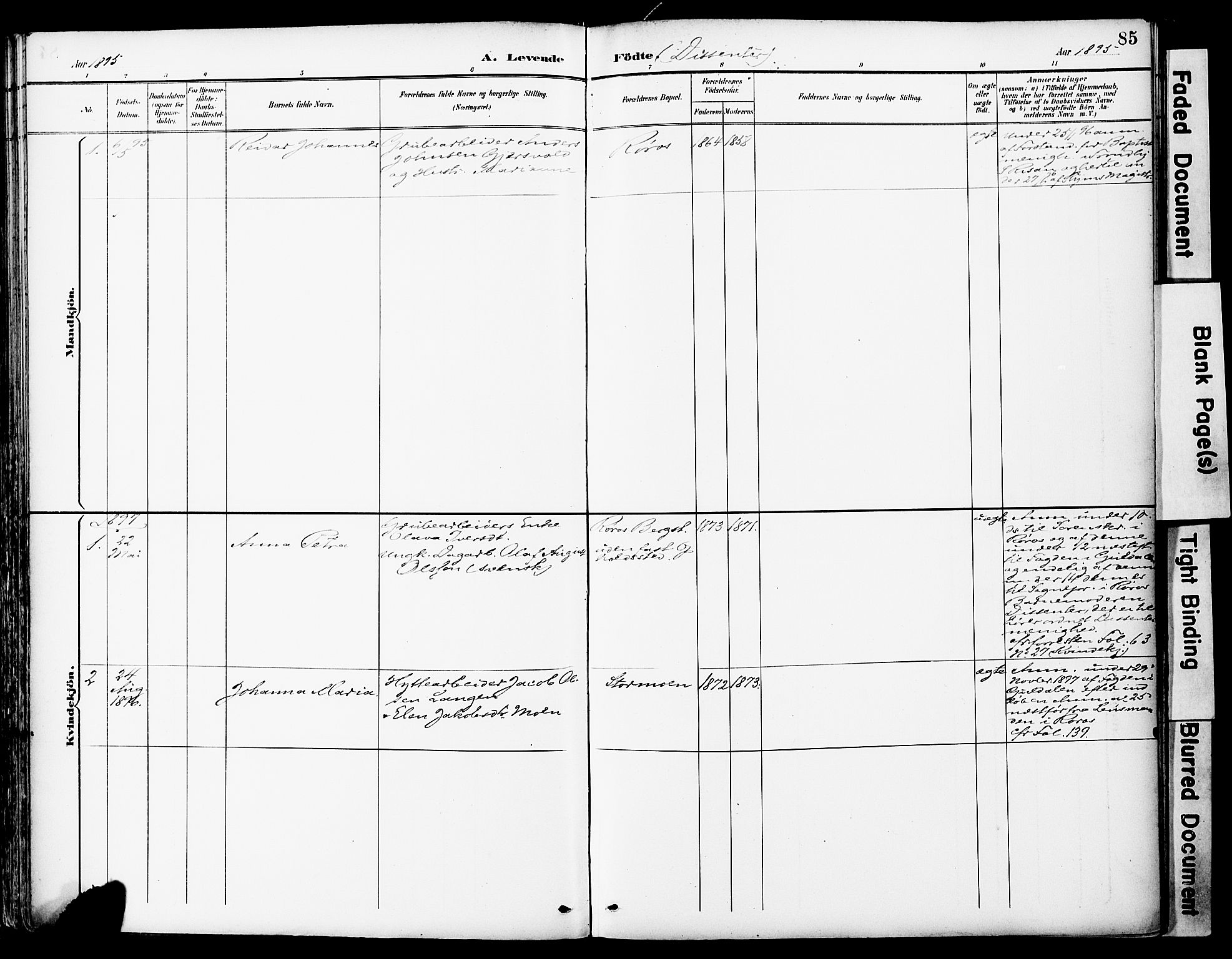 Ministerialprotokoller, klokkerbøker og fødselsregistre - Sør-Trøndelag, SAT/A-1456/681/L0935: Parish register (official) no. 681A13, 1890-1898, p. 85