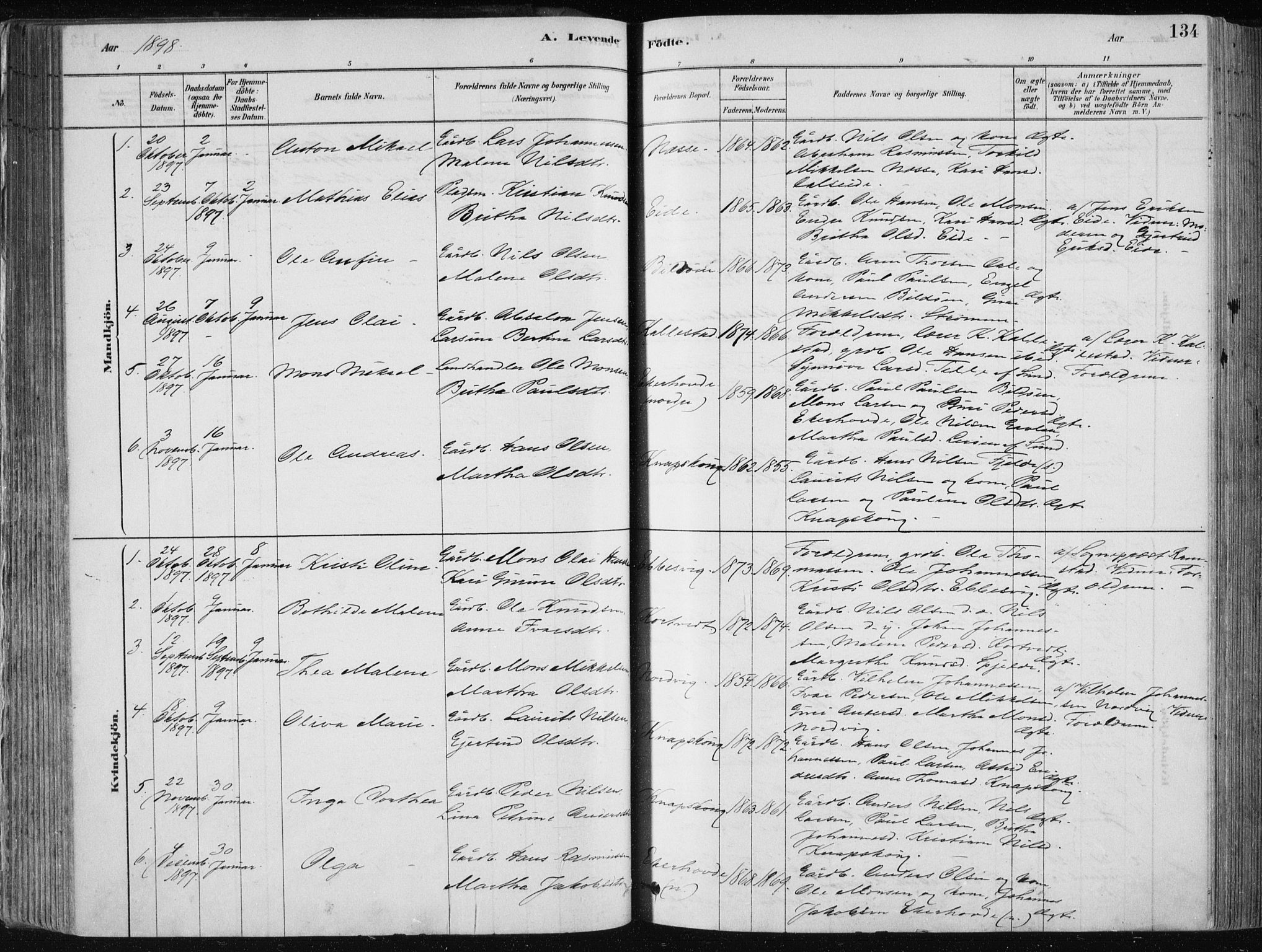 Fjell sokneprestembete, AV/SAB-A-75301/H/Haa: Parish register (official) no. A  8, 1878-1898, p. 134