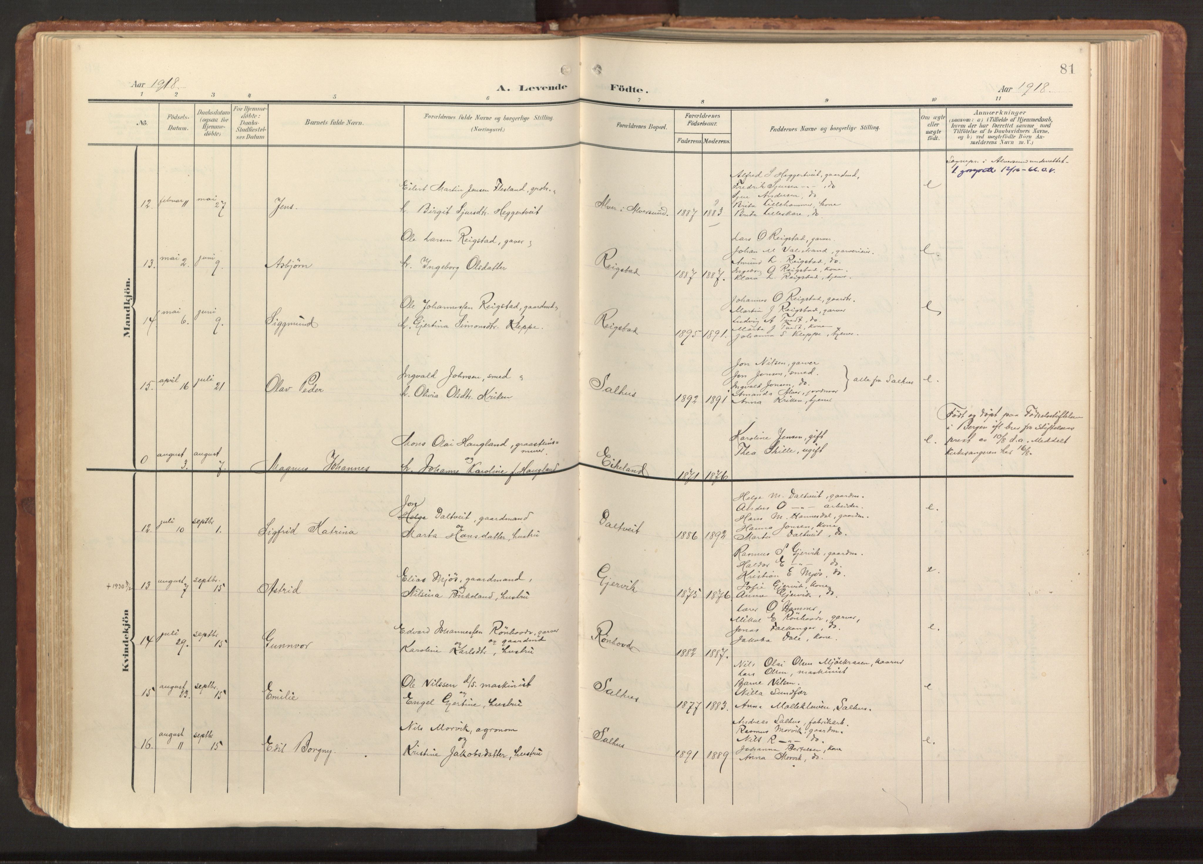 Hamre sokneprestembete, AV/SAB-A-75501/H/Ha/Haa/Haab/L0002: Parish register (official) no. B 2, 1905-1924, p. 81