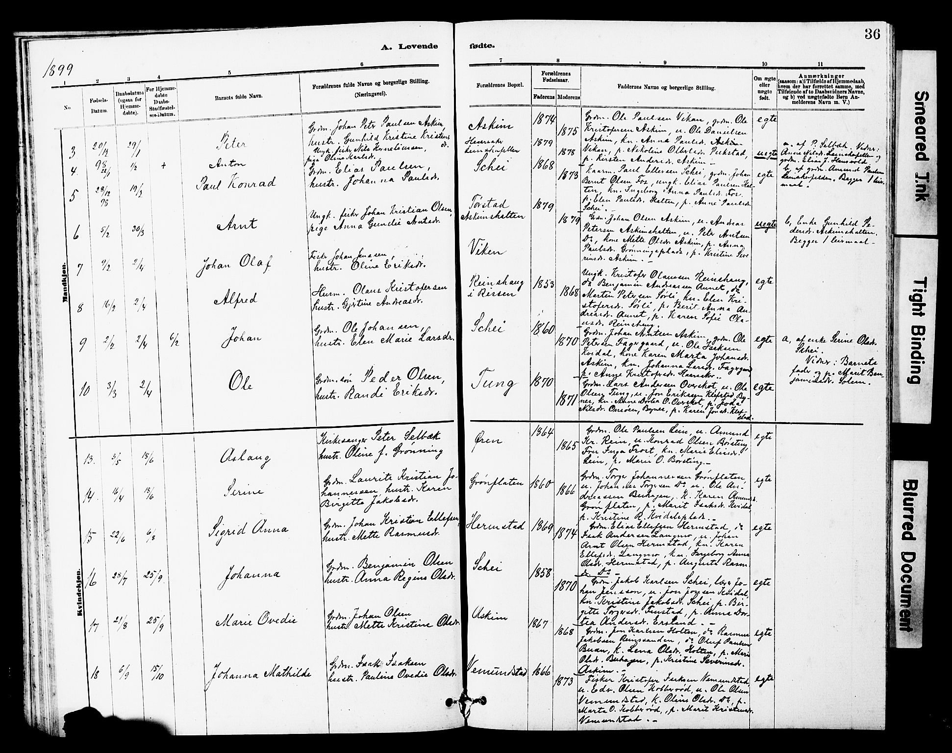 Ministerialprotokoller, klokkerbøker og fødselsregistre - Sør-Trøndelag, SAT/A-1456/646/L0628: Parish register (copy) no. 646C01, 1880-1903, p. 36