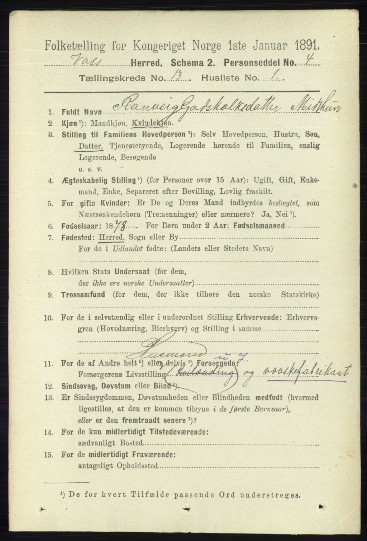 RA, 1891 census for 1235 Voss, 1891, p. 6891