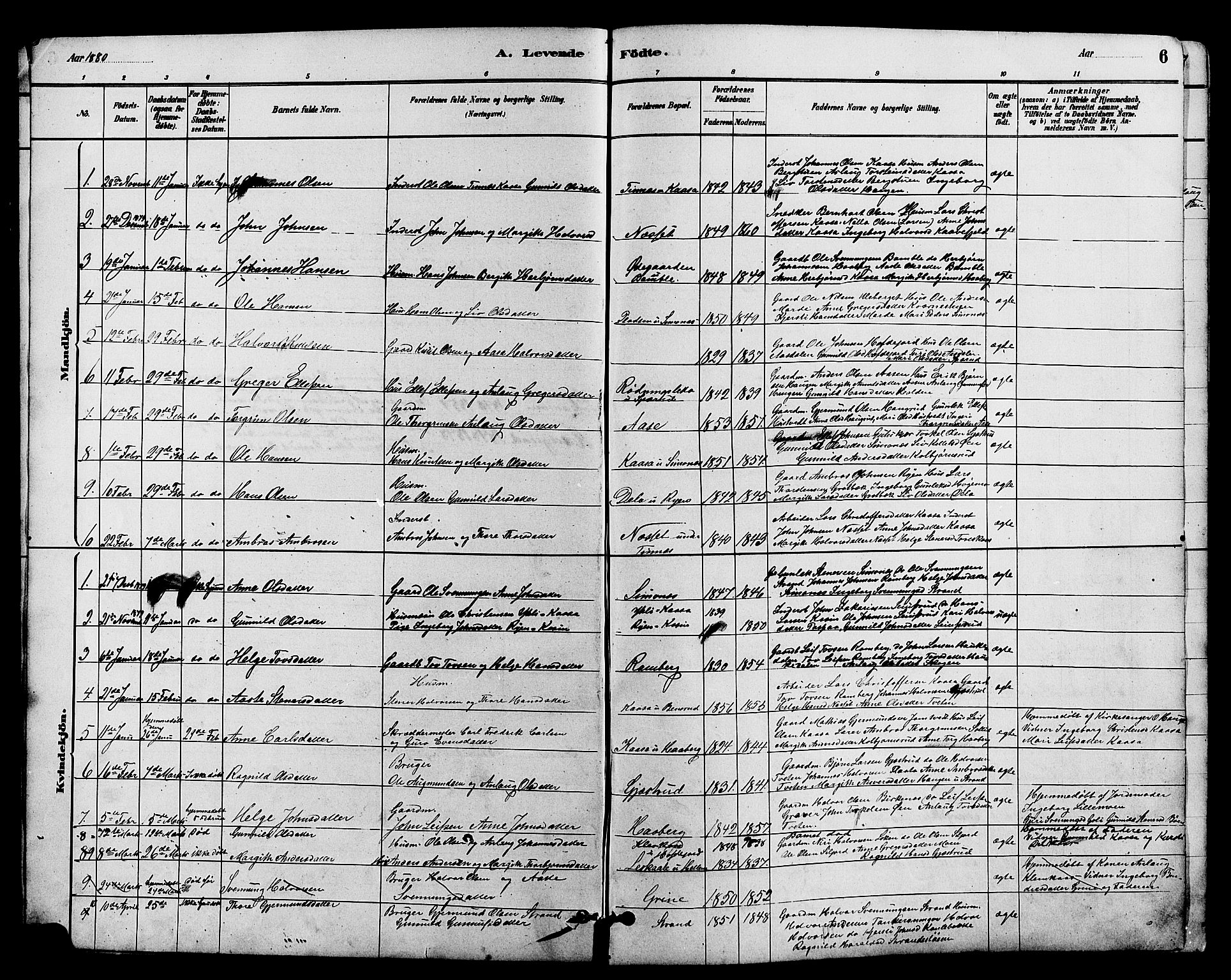 Heddal kirkebøker, SAKO/A-268/G/Ga/L0002: Parish register (copy) no. I 2, 1879-1908, p. 6