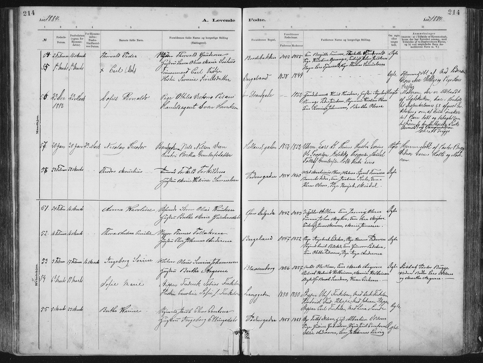 St. Petri sokneprestkontor, AV/SAST-A-101813/001/30/30BA/L0015: Parish register (official) no. A 15, 1879-1888, p. 214