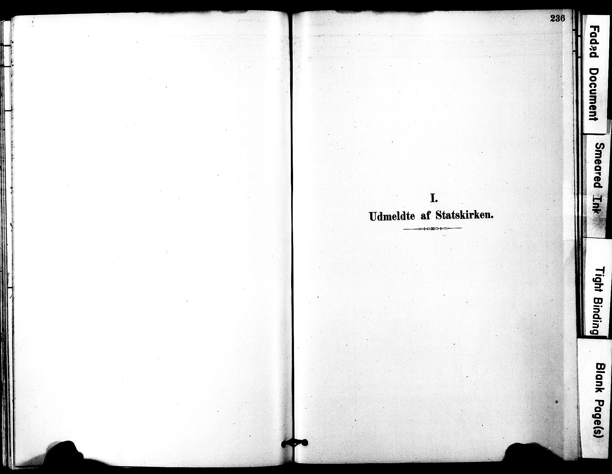 Ministerialprotokoller, klokkerbøker og fødselsregistre - Møre og Romsdal, SAT/A-1454/525/L0374: Parish register (official) no. 525A04, 1880-1899, p. 236