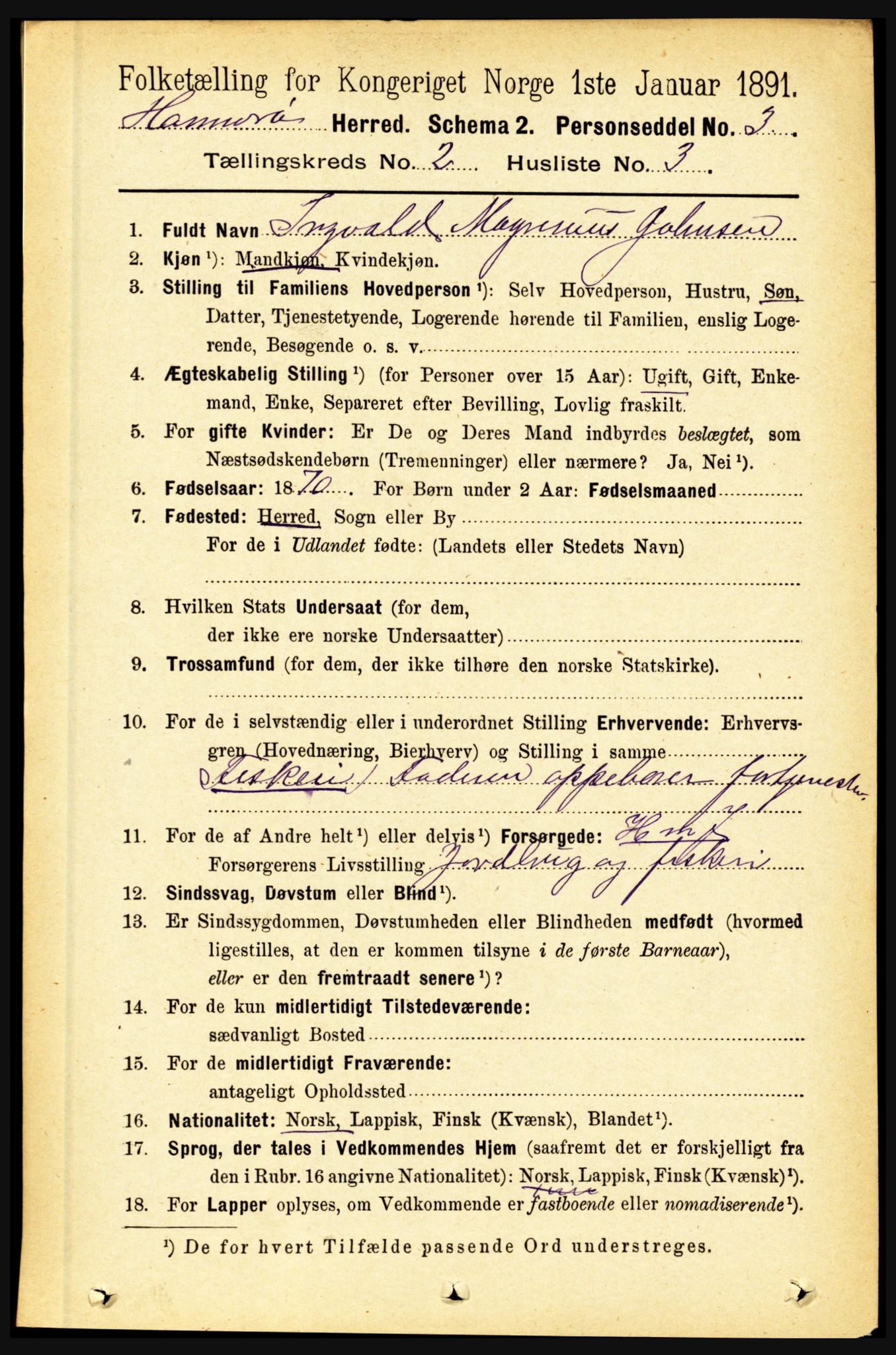 RA, 1891 census for 1849 Hamarøy, 1891, p. 592